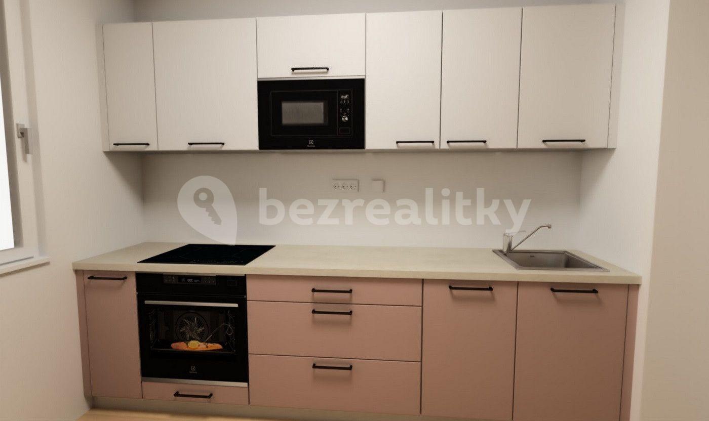 1 bedroom with open-plan kitchen flat to rent, 52 m², Olgy Havlové, Prague, Prague