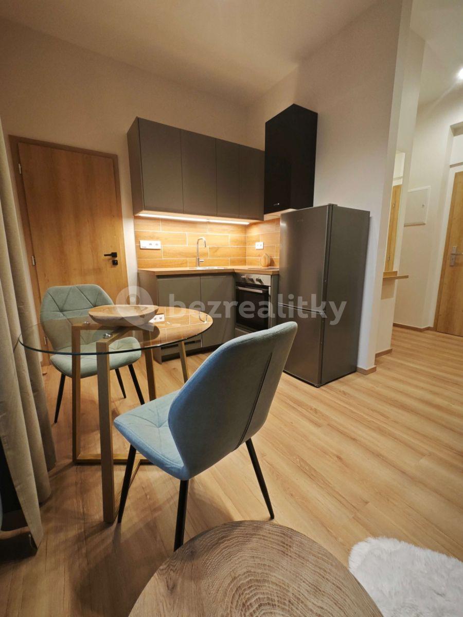 1 bedroom flat to rent, 26 m², Turnovská, Prague, Prague