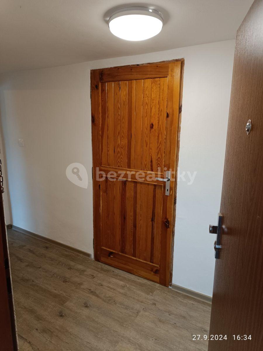 Studio flat to rent, 35 m², Nebužely, Středočeský Region