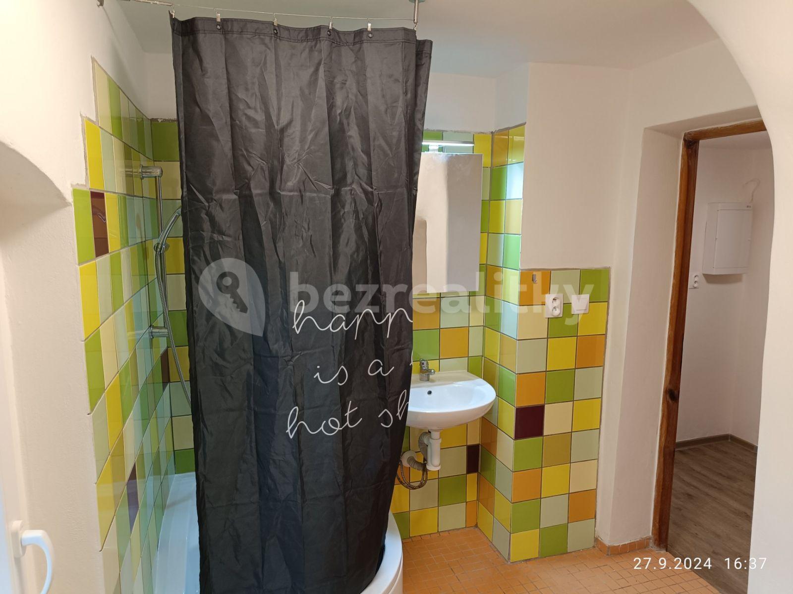 Studio flat to rent, 35 m², Nebužely, Středočeský Region