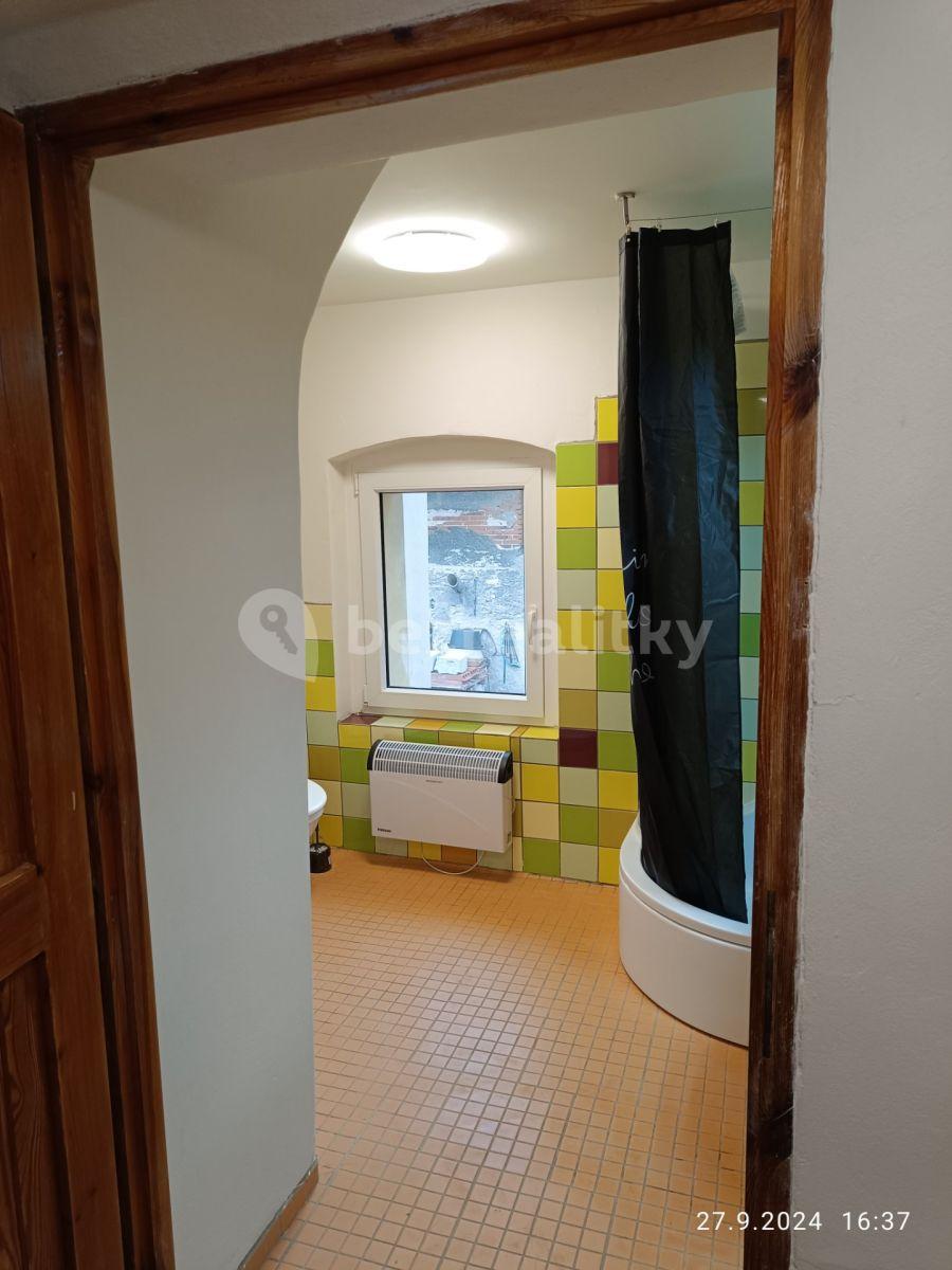 Studio flat to rent, 35 m², Nebužely, Středočeský Region