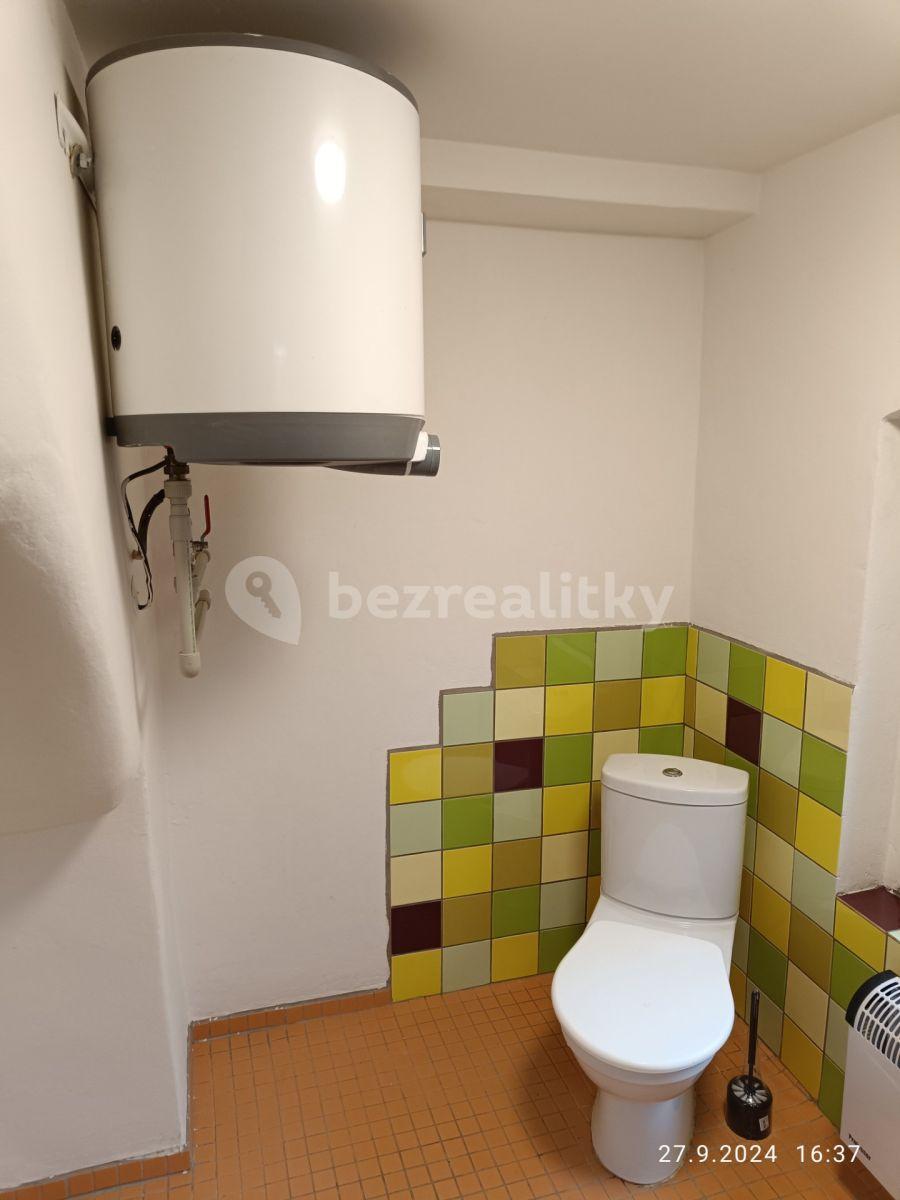 Studio flat to rent, 35 m², Nebužely, Středočeský Region