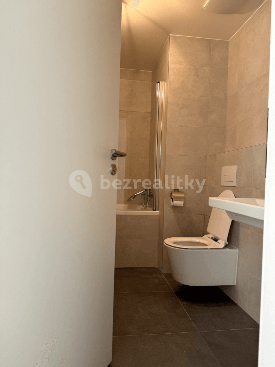 1 bedroom with open-plan kitchen flat to rent, 45 m², U Židovského hřbitova, Beroun, Středočeský Region