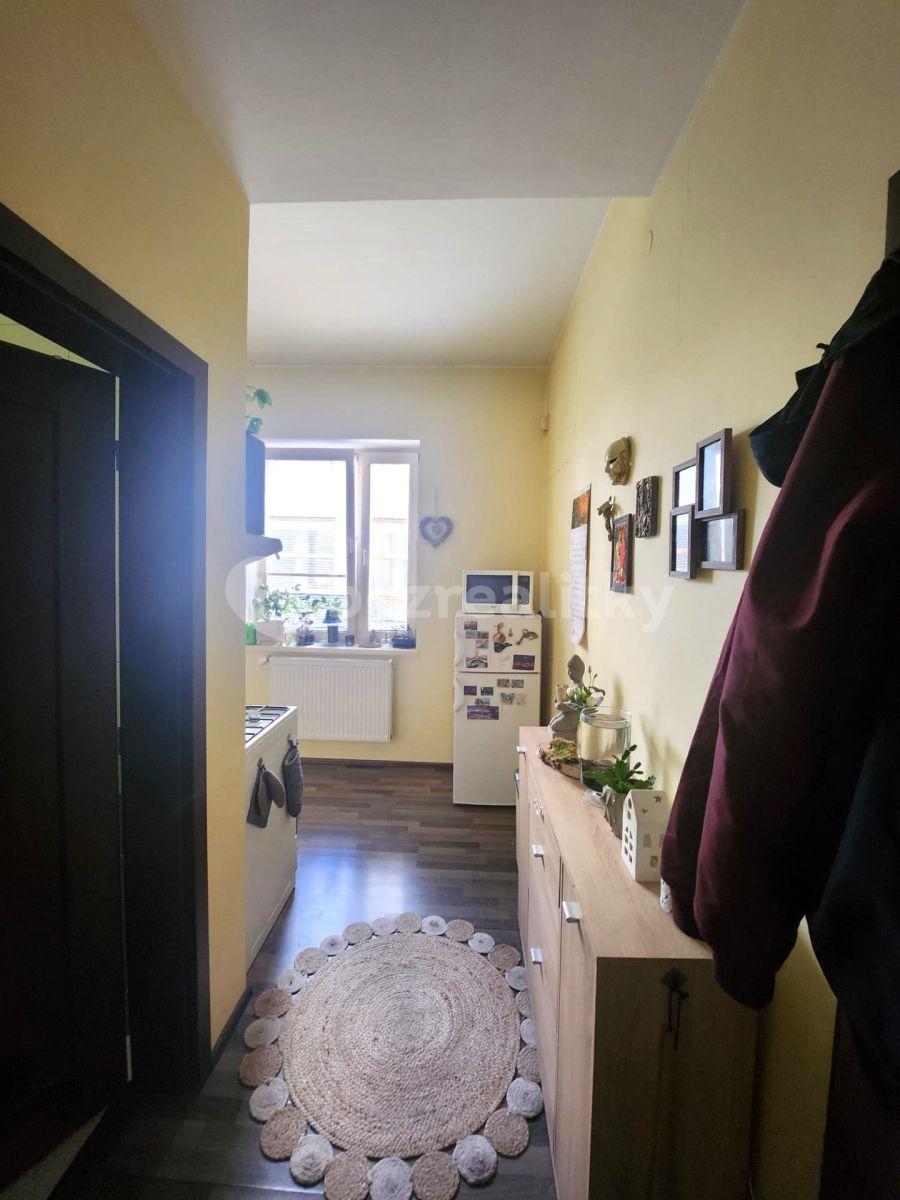 1 bedroom with open-plan kitchen flat to rent, 37 m², Kamenická, Prague, Prague