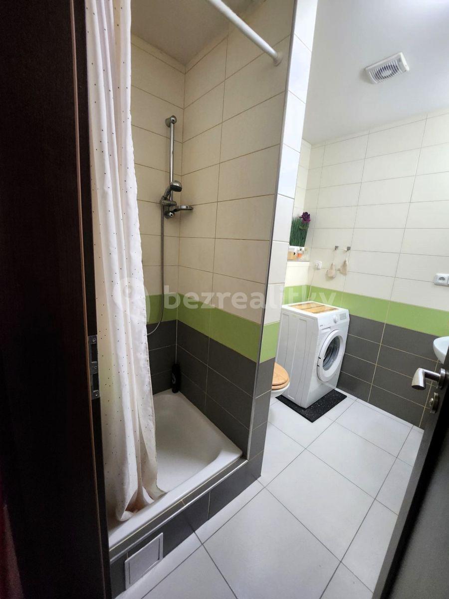 1 bedroom with open-plan kitchen flat to rent, 37 m², Kamenická, Prague, Prague