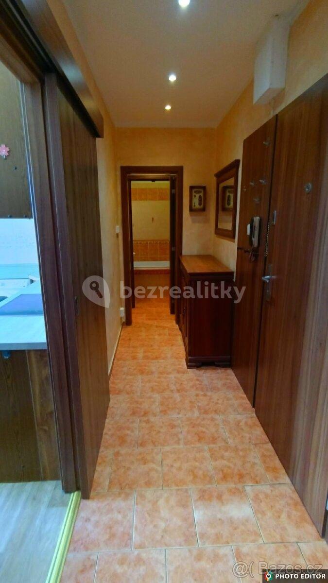 1 bedroom with open-plan kitchen flat to rent, 47 m², Fischerova, Olomouc, Olomoucký Region