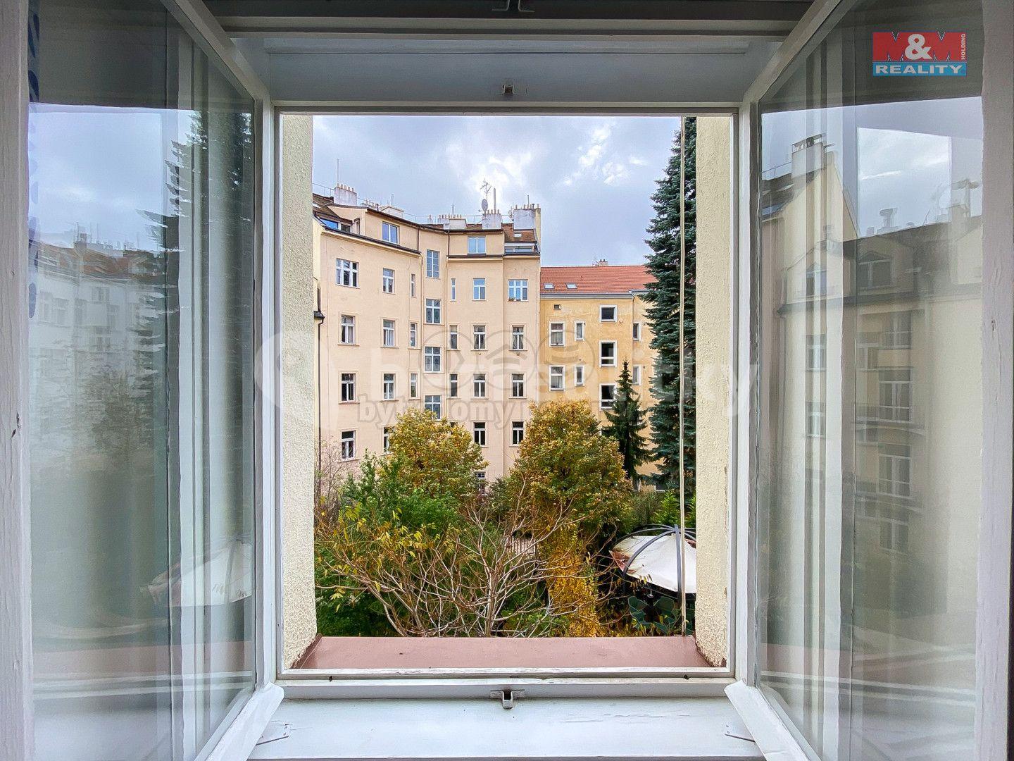 1 bedroom with open-plan kitchen flat to rent, 48 m², Rybalkova, Prague, Prague