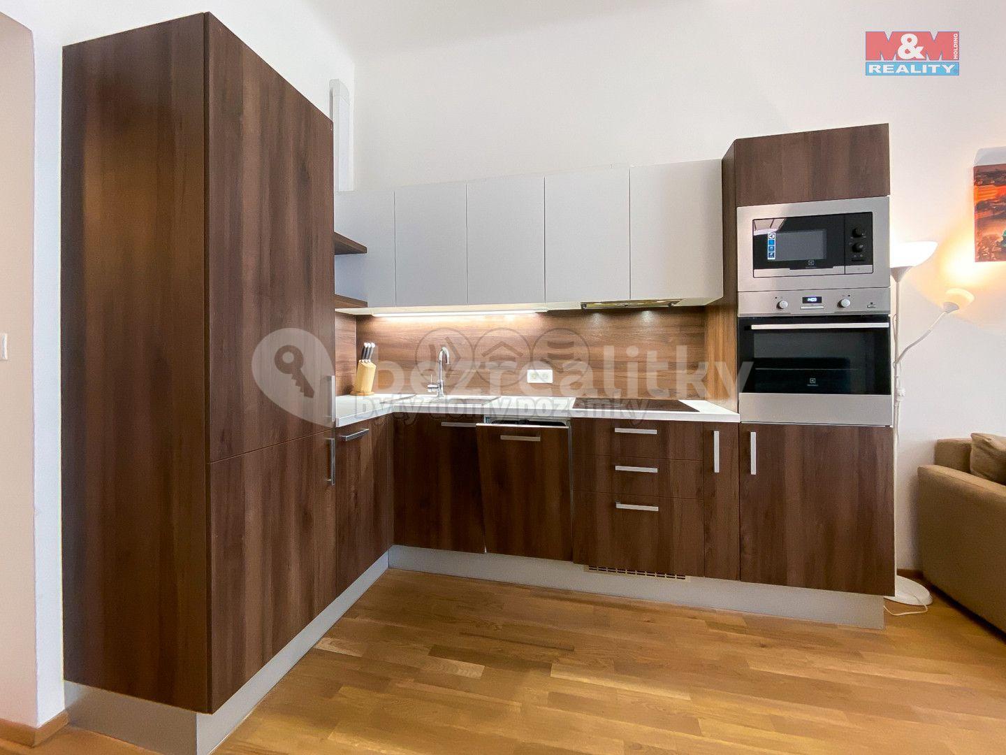 1 bedroom with open-plan kitchen flat to rent, 48 m², Rybalkova, Prague, Prague