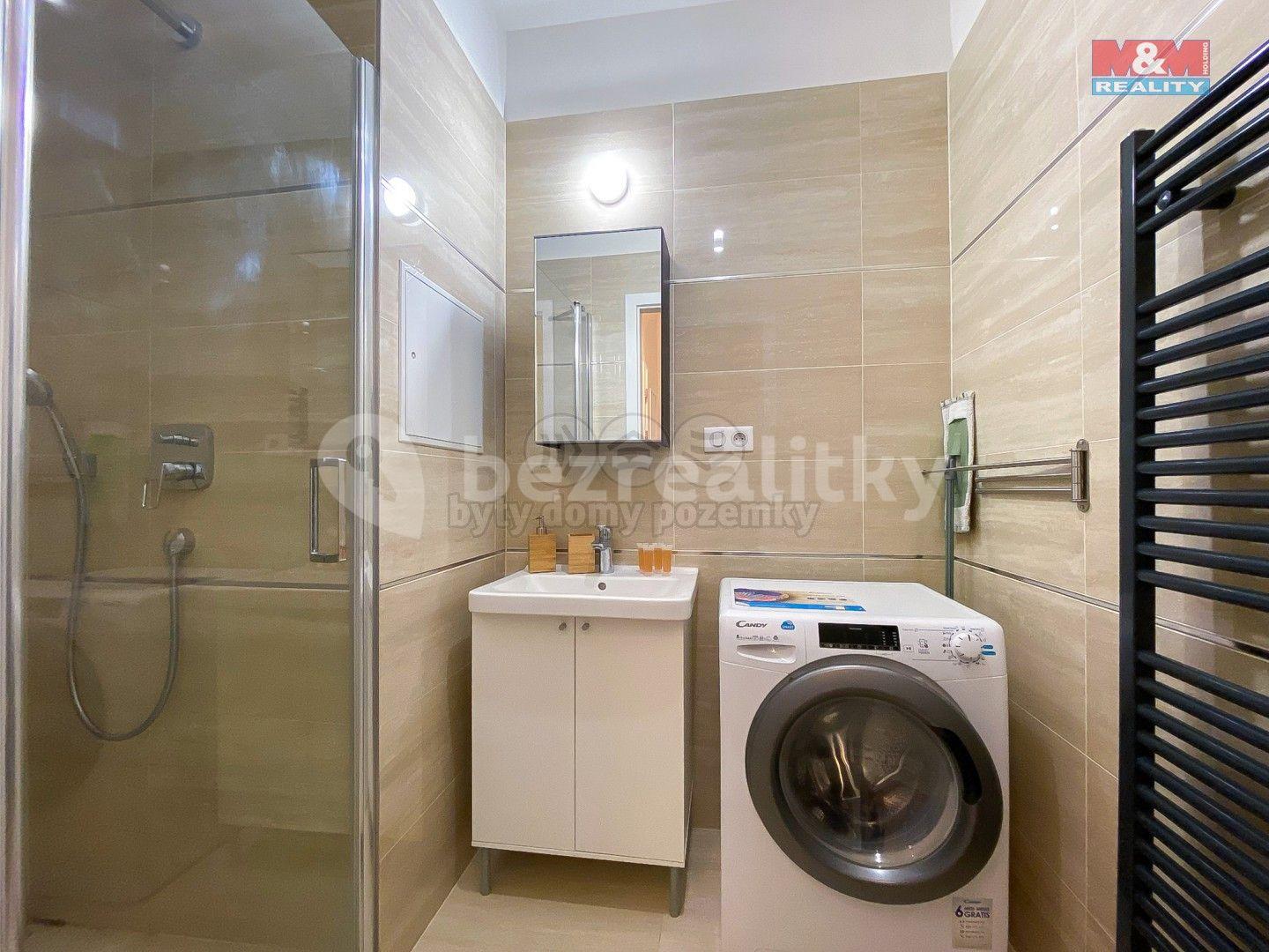 1 bedroom with open-plan kitchen flat to rent, 48 m², Rybalkova, Prague, Prague