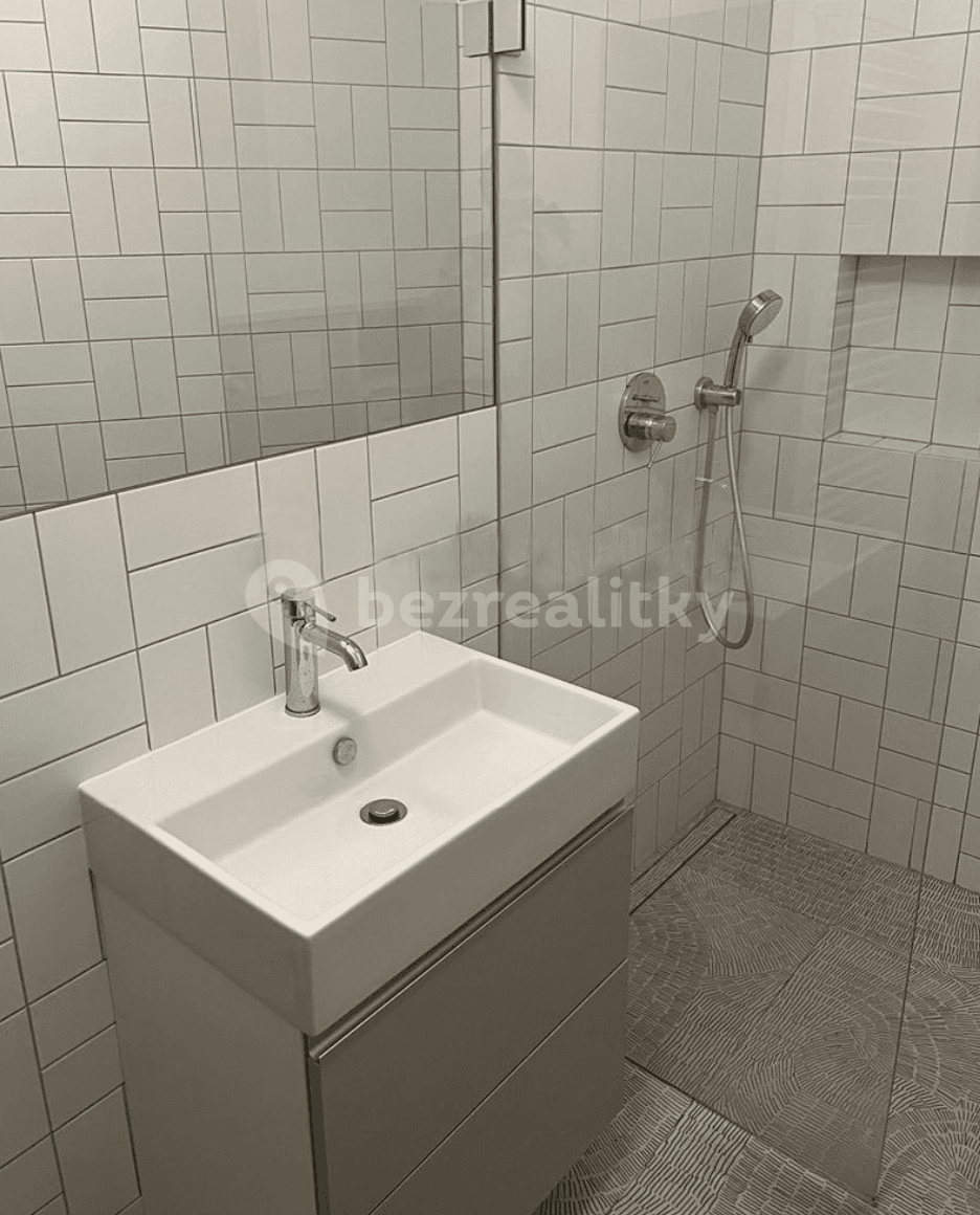 1 bedroom with open-plan kitchen flat to rent, 42 m², Pobřežní, Prague, Prague