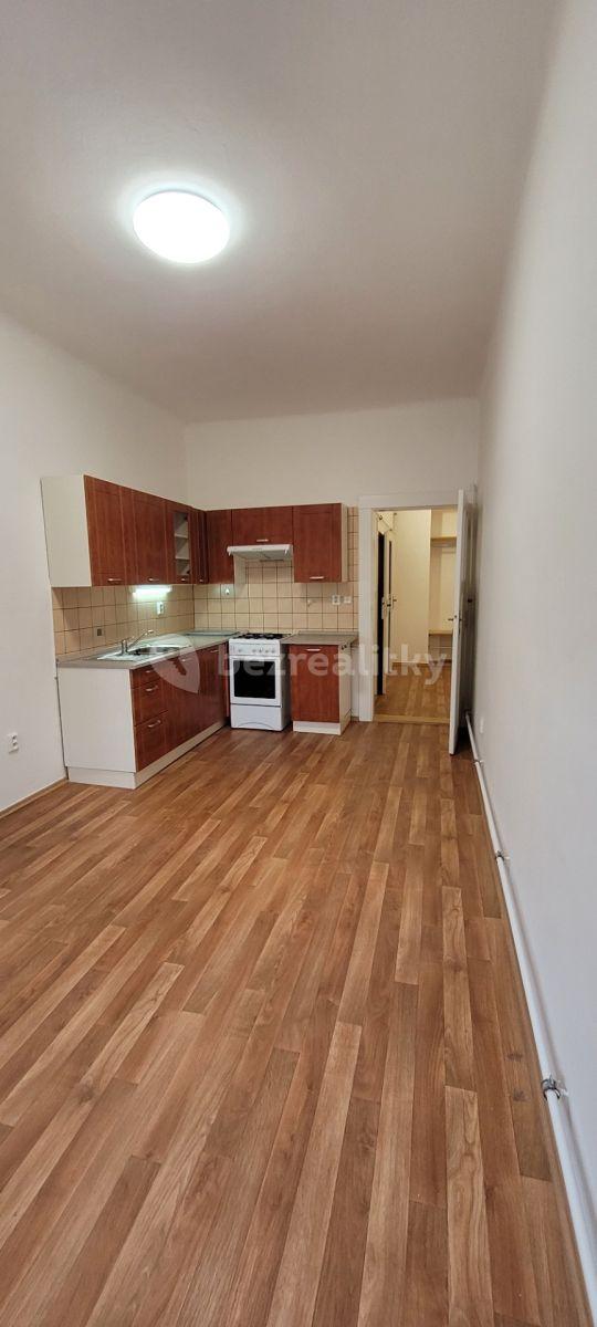 1 bedroom flat to rent, 50 m², Horní, Prague, Prague