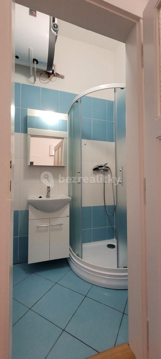 1 bedroom flat to rent, 50 m², Horní, Prague, Prague