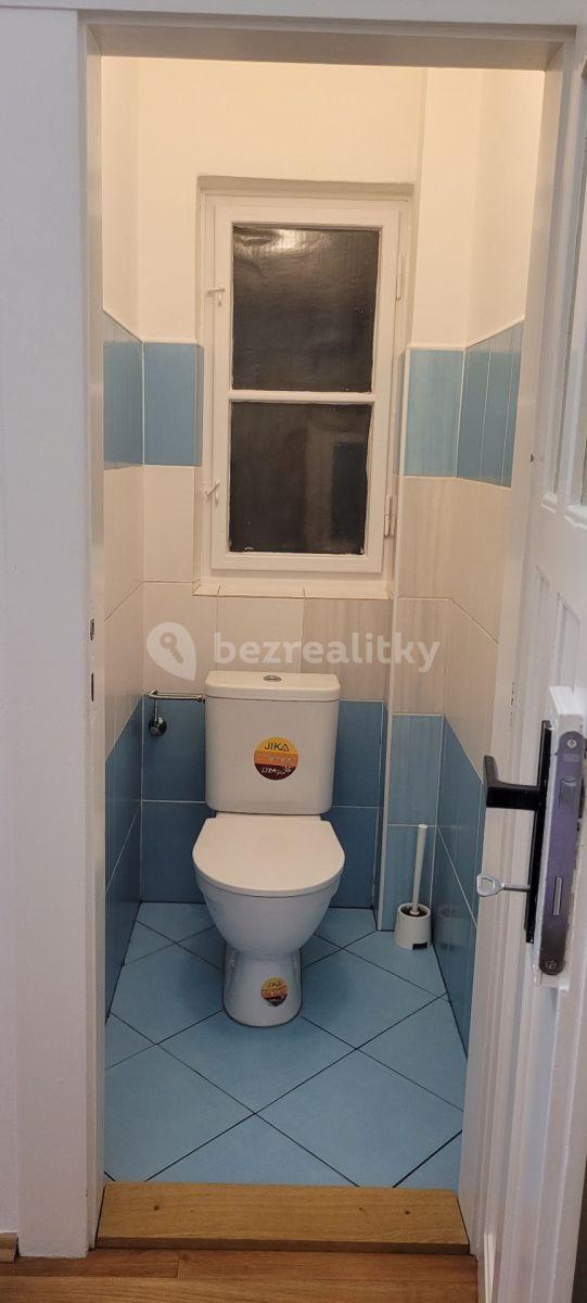 1 bedroom flat to rent, 50 m², Horní, Prague, Prague