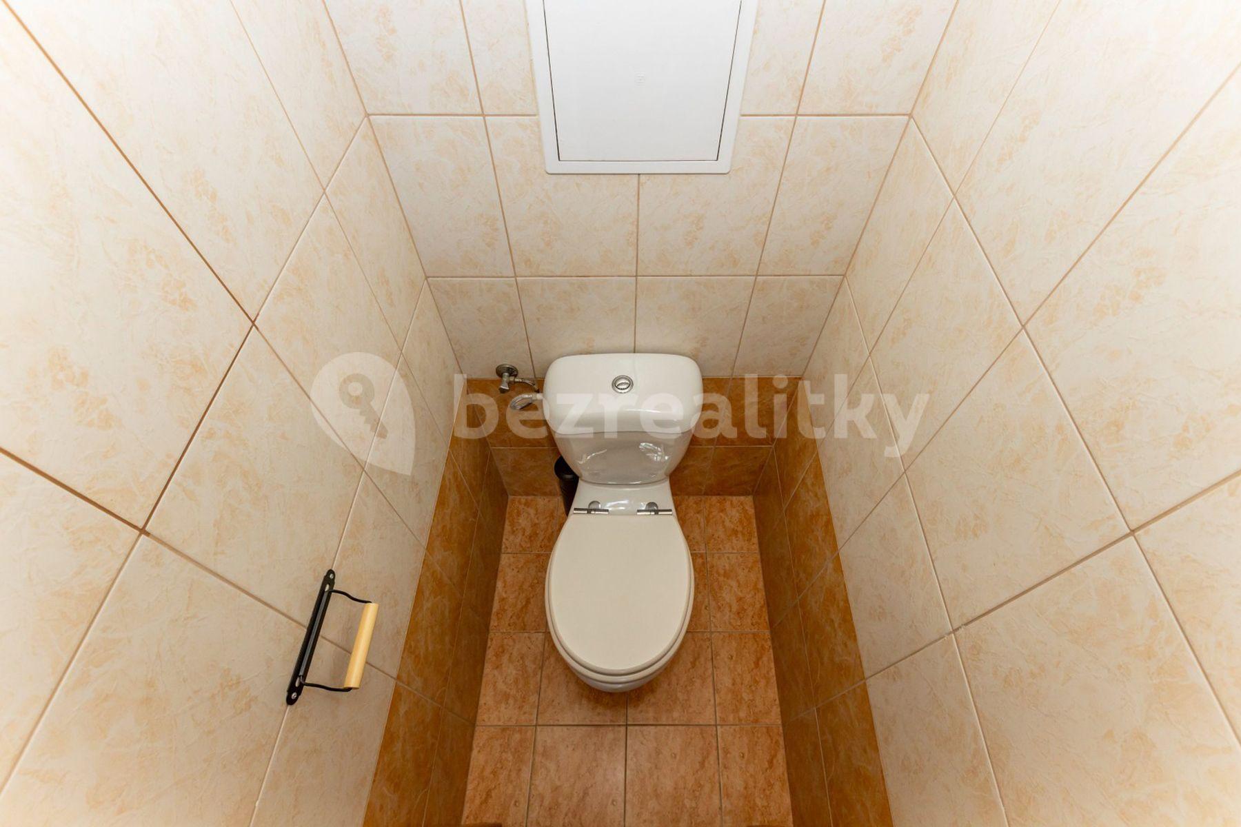 1 bedroom with open-plan kitchen flat for sale, 51 m², Jižní, Větrušice, Středočeský Region