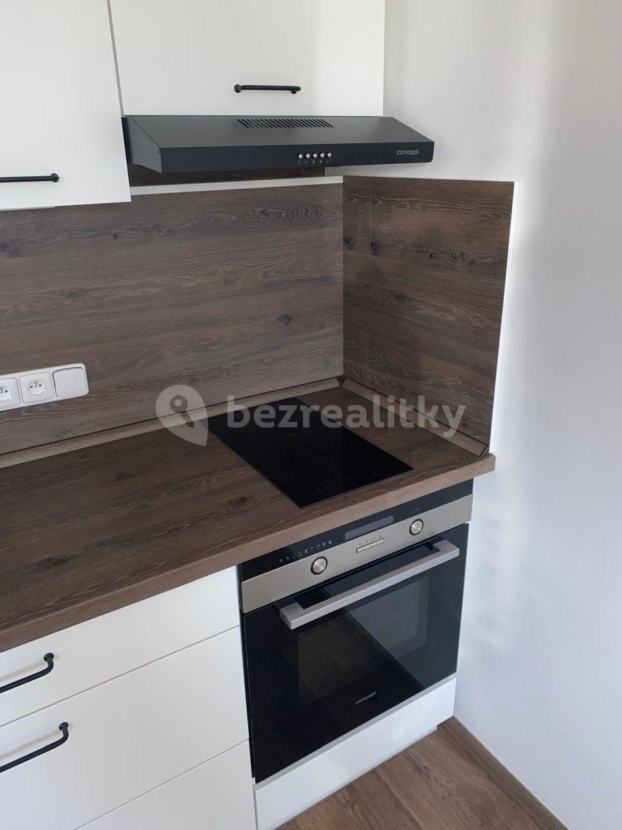 1 bedroom with open-plan kitchen flat to rent, 42 m², Dvořákova, Děčín, Ústecký Region