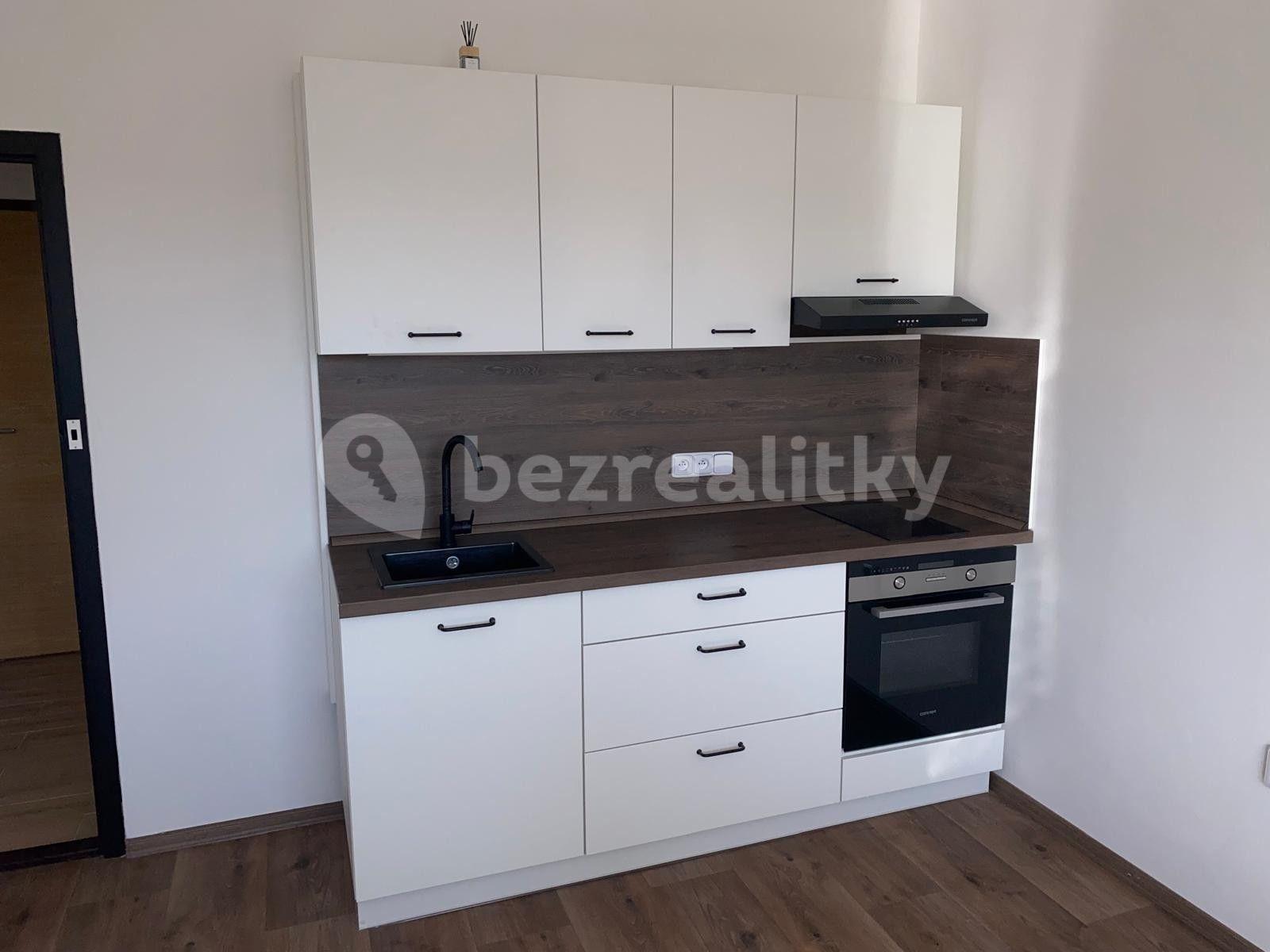 1 bedroom with open-plan kitchen flat to rent, 42 m², Dvořákova, Děčín, Ústecký Region