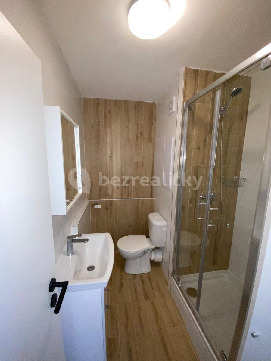 1 bedroom with open-plan kitchen flat to rent, 42 m², Dvořákova, Děčín, Ústecký Region