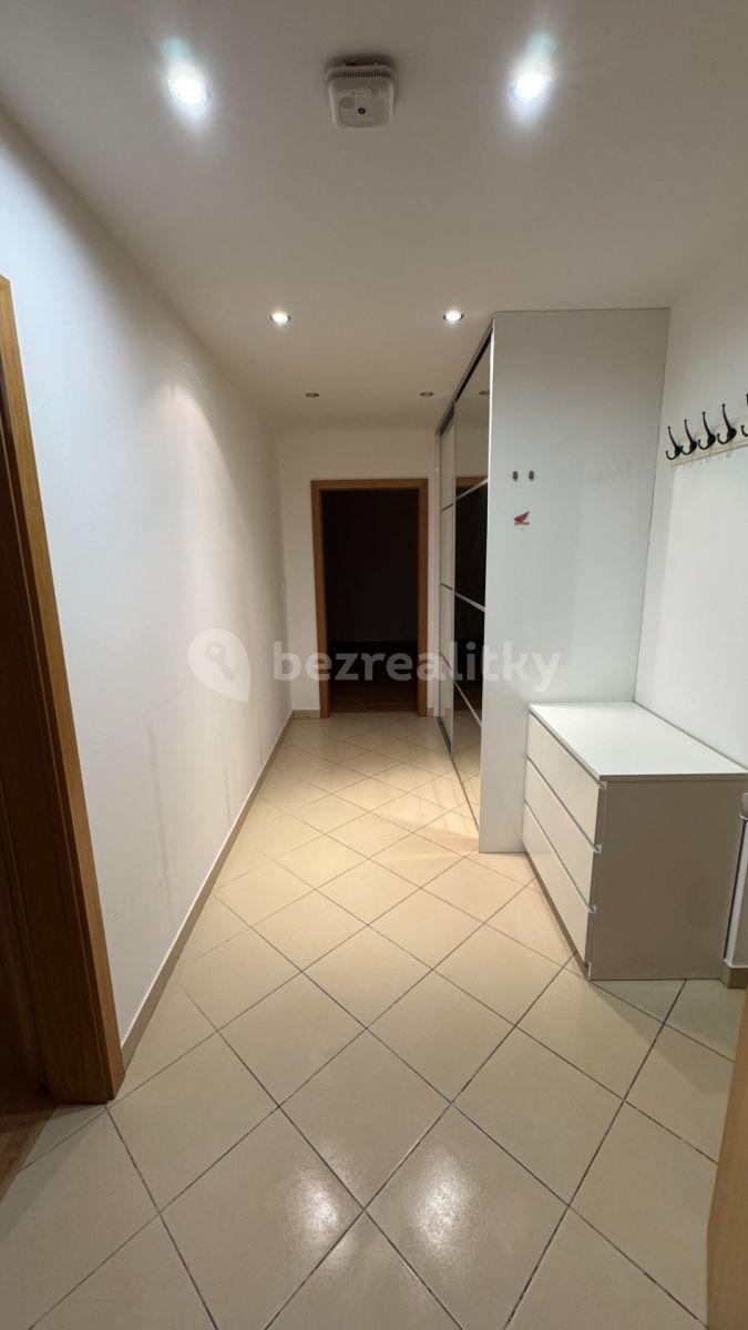 1 bedroom with open-plan kitchen flat to rent, 65 m², Musílkova, Prague, Prague