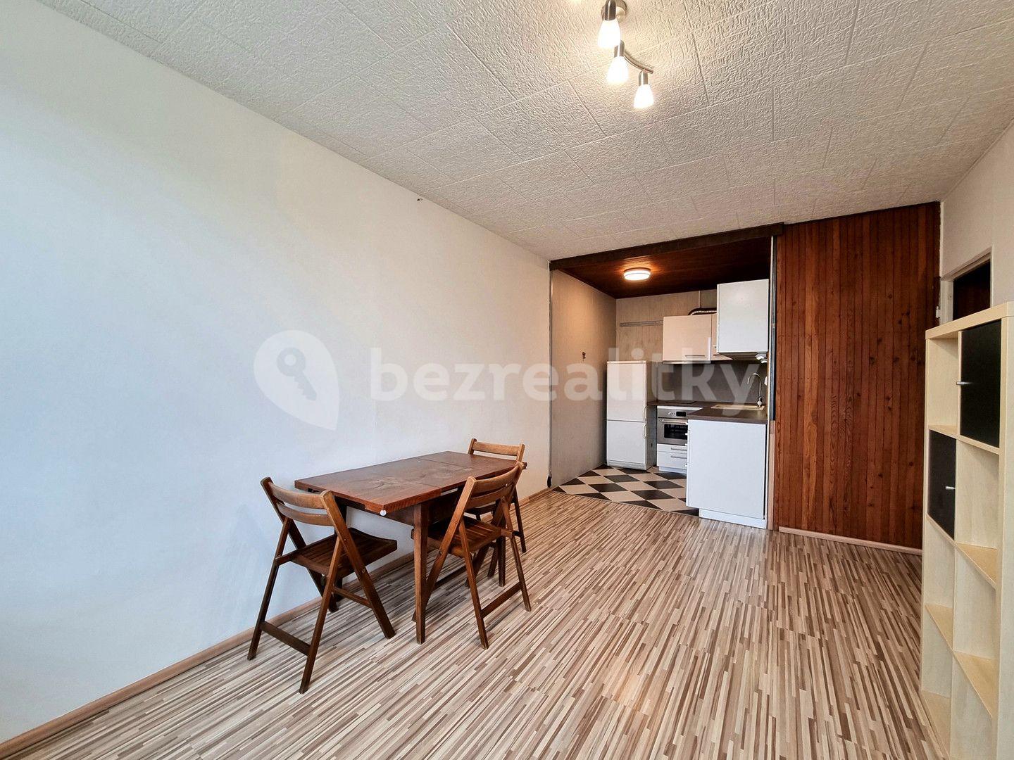 1 bedroom with open-plan kitchen flat to rent, 43 m², Na Strži, Prague, Prague