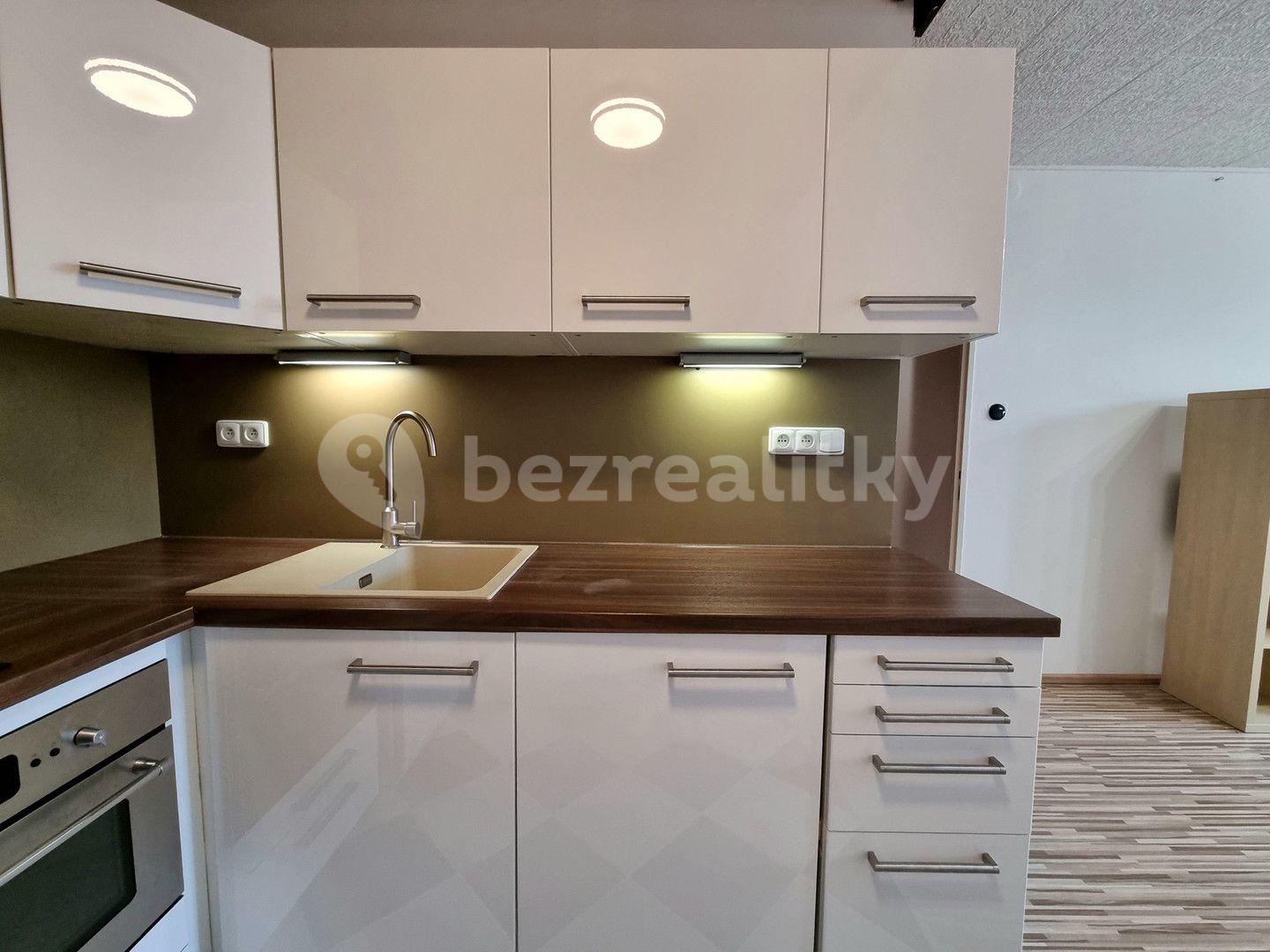 1 bedroom with open-plan kitchen flat to rent, 43 m², Na Strži, Prague, Prague