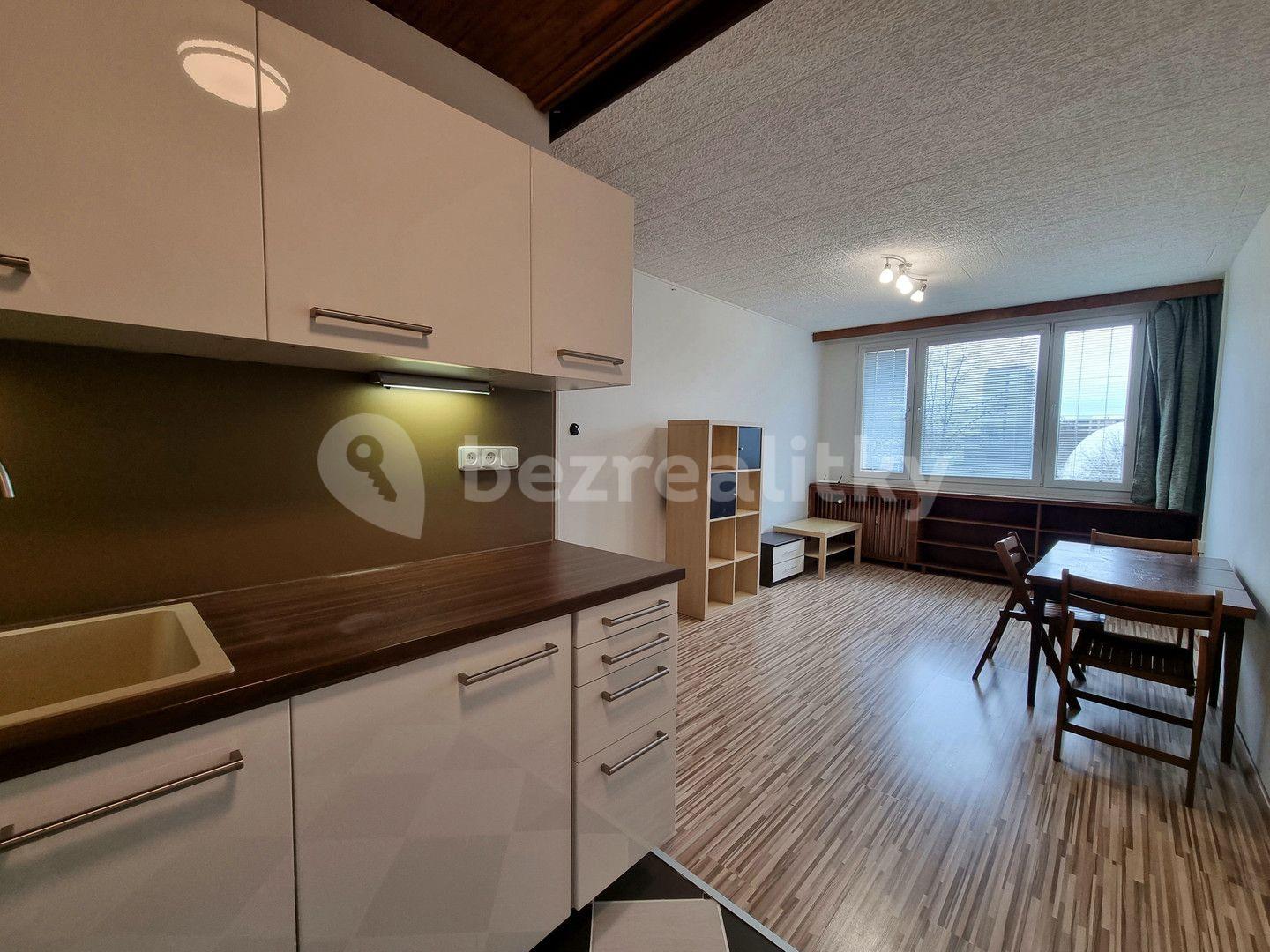 1 bedroom with open-plan kitchen flat to rent, 43 m², Na Strži, Prague, Prague