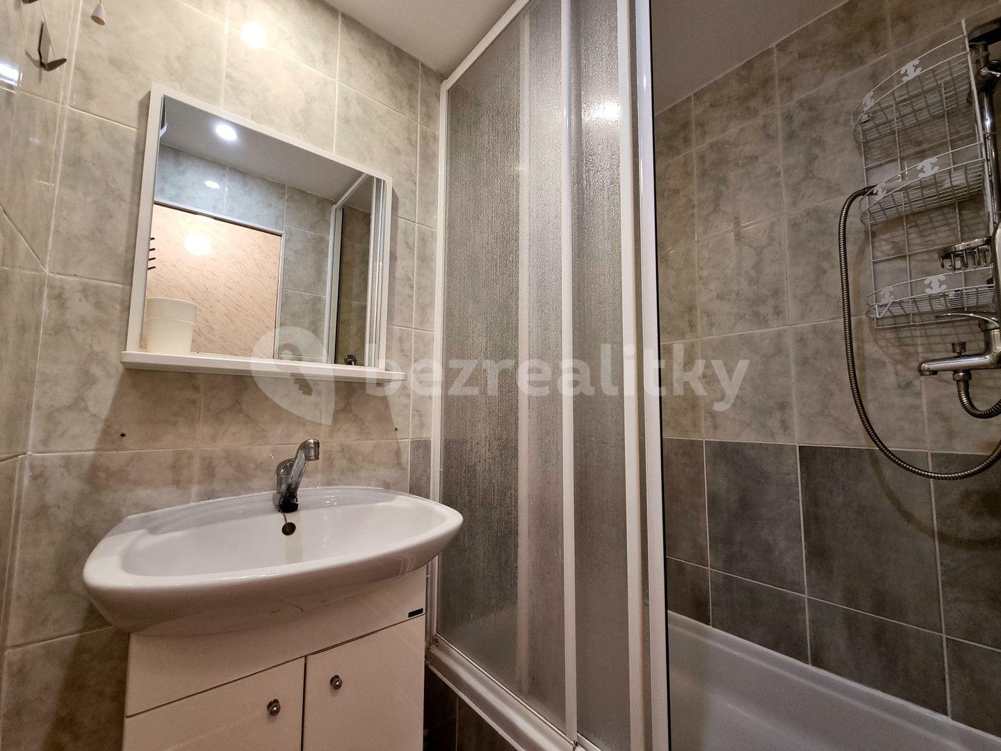 1 bedroom with open-plan kitchen flat to rent, 43 m², Na Strži, Prague, Prague