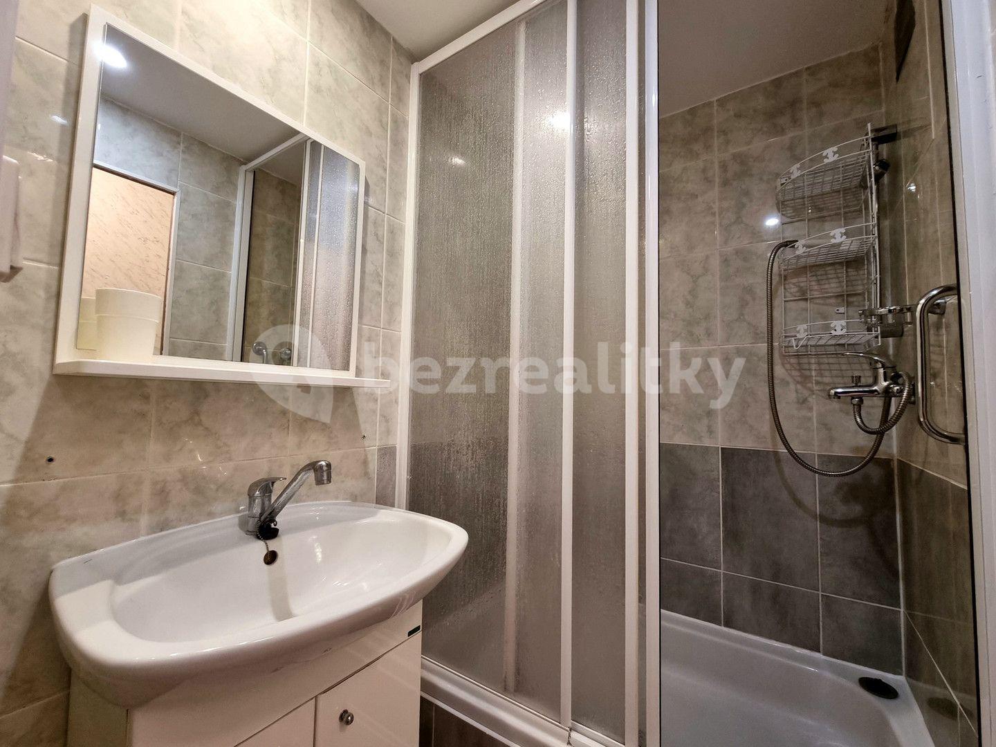 1 bedroom with open-plan kitchen flat to rent, 43 m², Na Strži, Prague, Prague