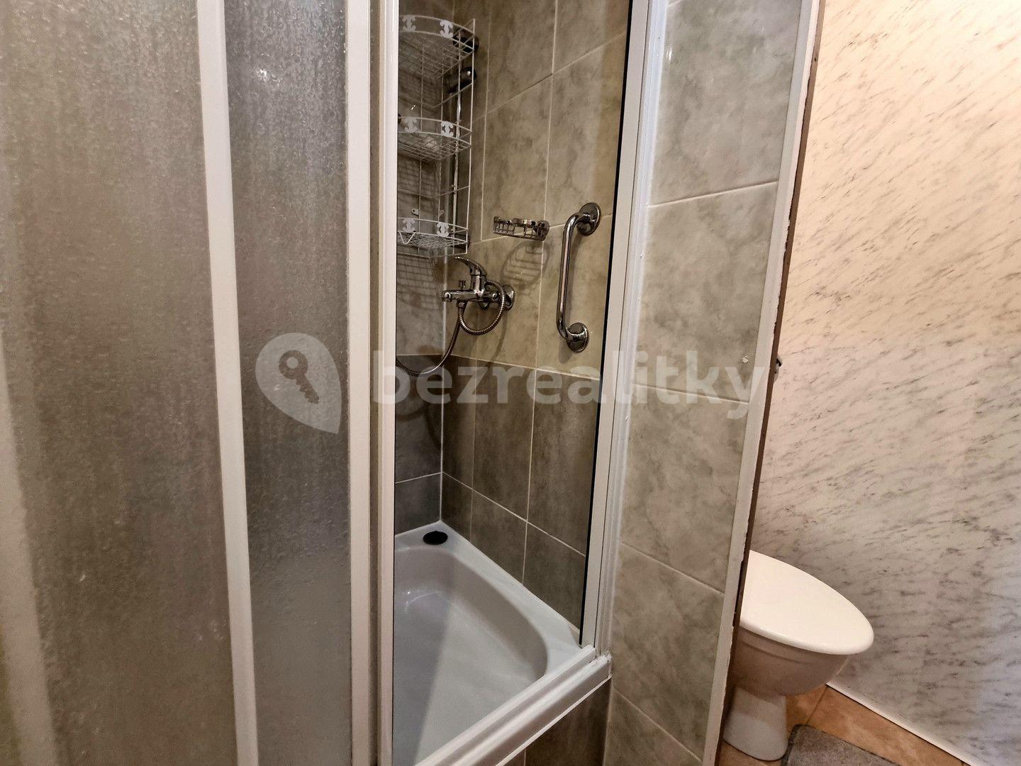 1 bedroom with open-plan kitchen flat to rent, 43 m², Na Strži, Prague, Prague