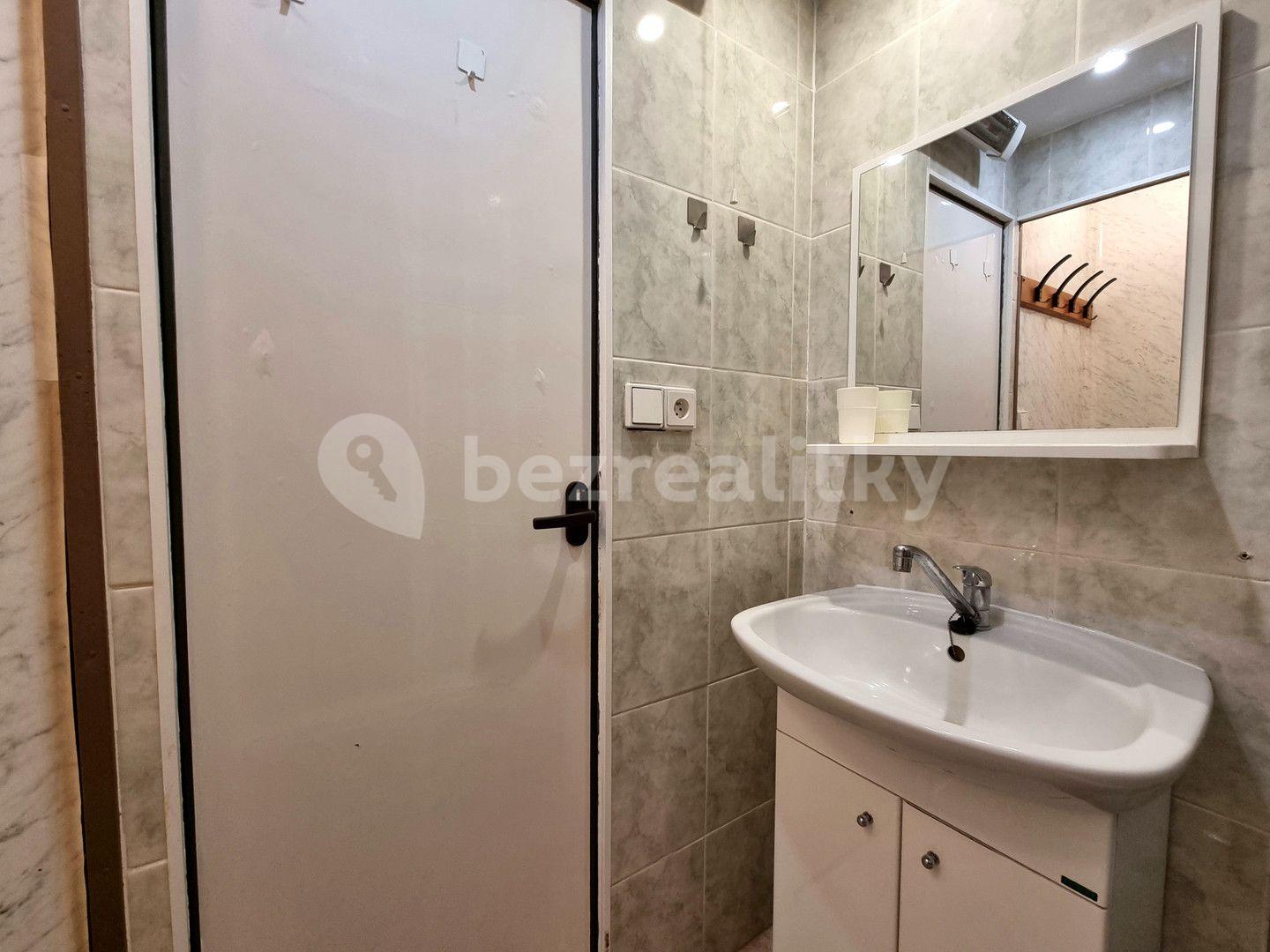 1 bedroom with open-plan kitchen flat to rent, 43 m², Na Strži, Prague, Prague