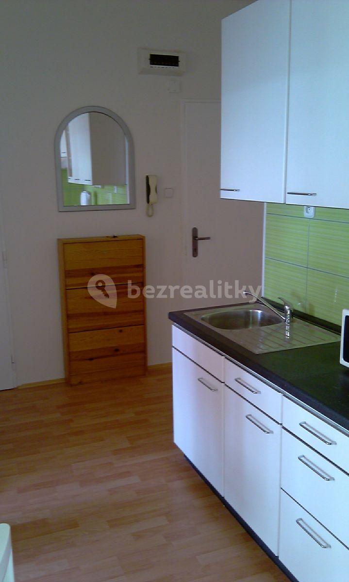 1 bedroom with open-plan kitchen flat to rent, 53 m², Dělnická, Prague, Prague