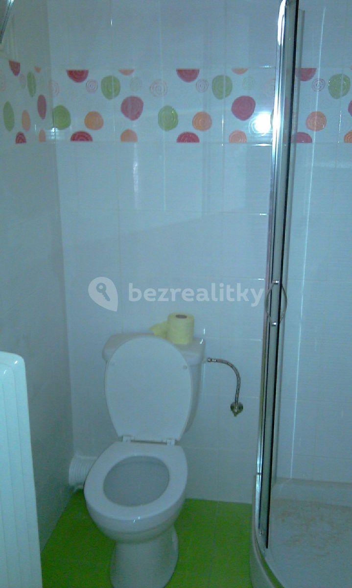 1 bedroom with open-plan kitchen flat to rent, 53 m², Dělnická, Prague, Prague