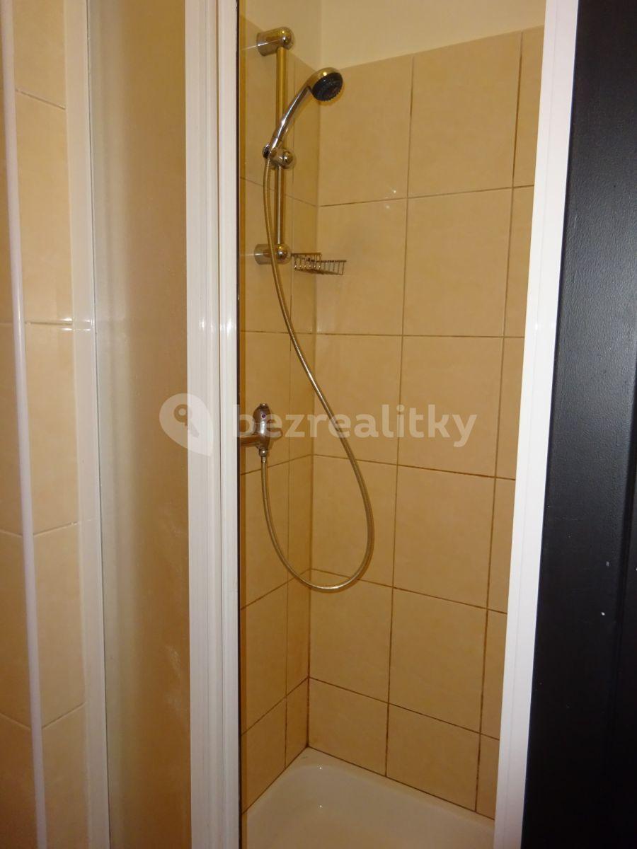 1 bedroom flat to rent, 40 m², Českomoravská, Prague, Prague