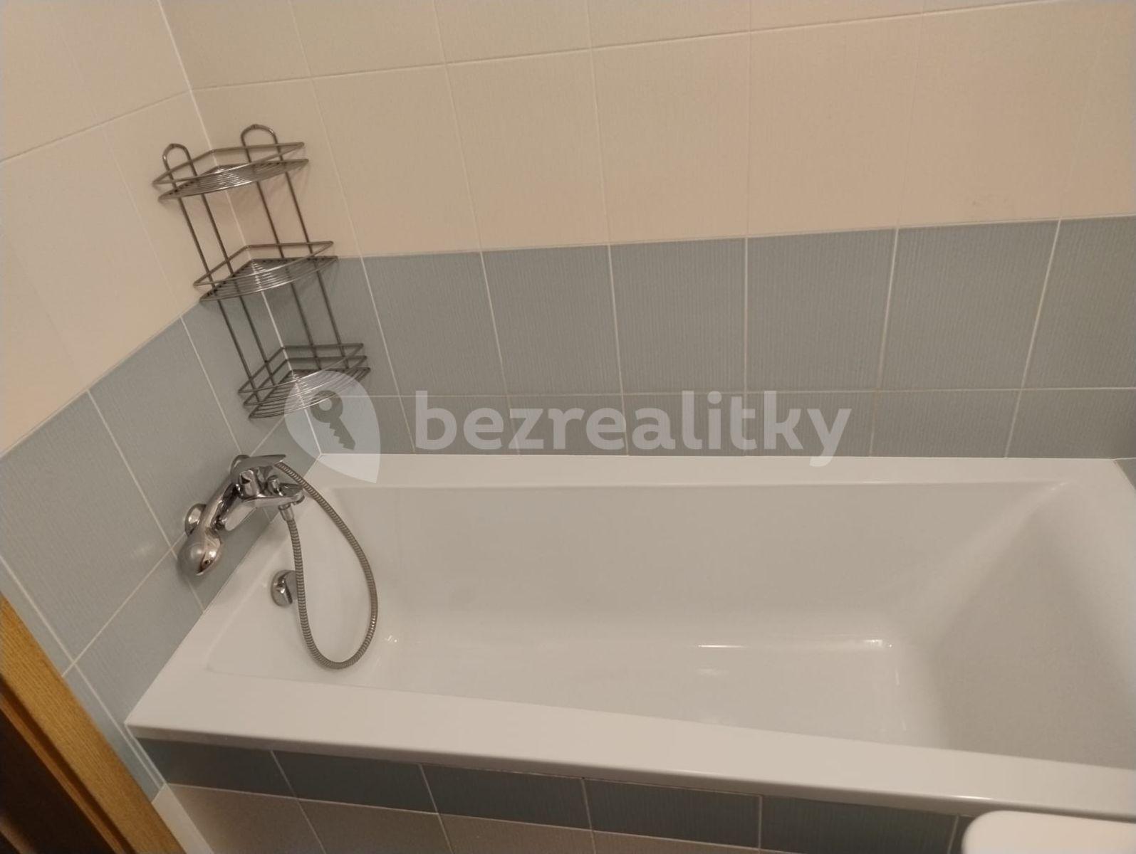 2 bedroom with open-plan kitchen flat to rent, 67 m², Sicherova, Prague, Prague