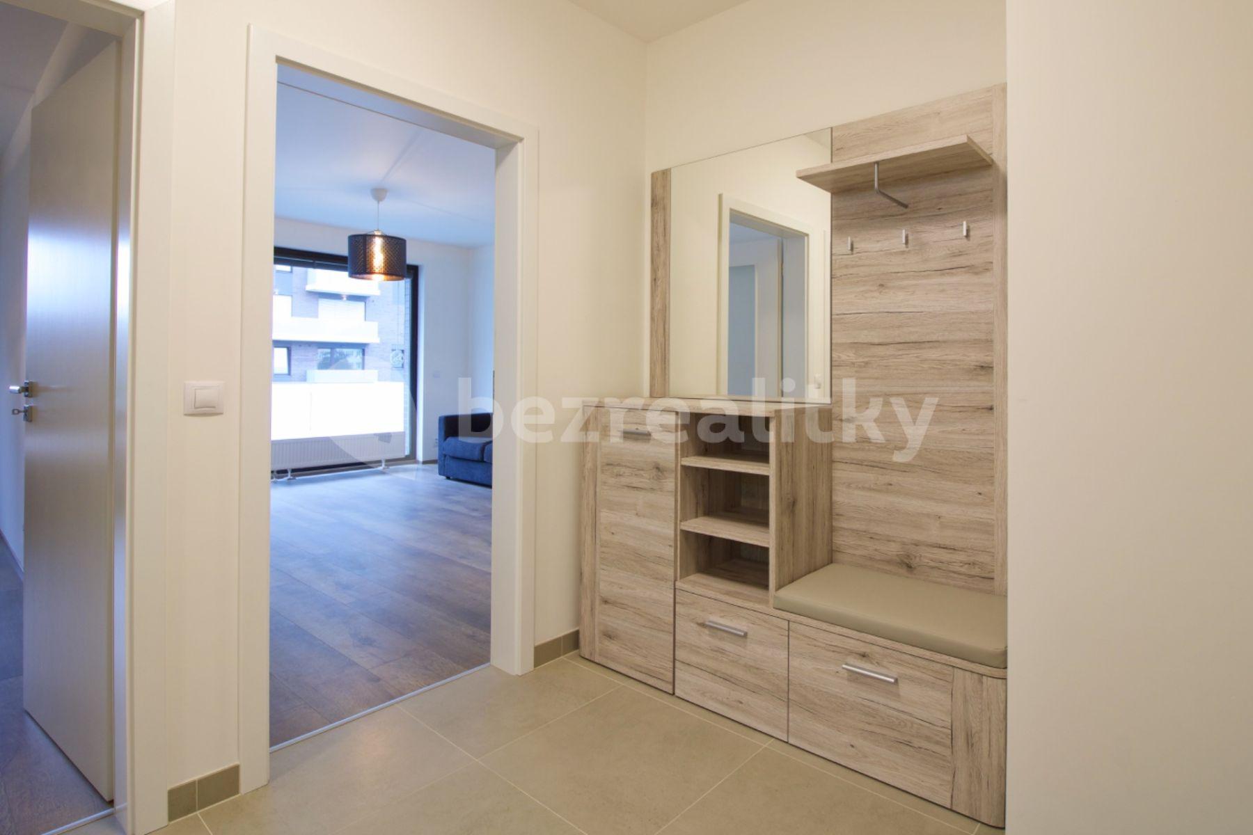 1 bedroom with open-plan kitchen flat to rent, 56 m², Nekvasilova, Prague, Prague