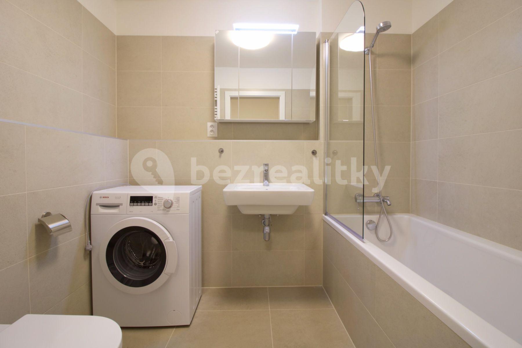 1 bedroom with open-plan kitchen flat to rent, 56 m², Nekvasilova, Prague, Prague