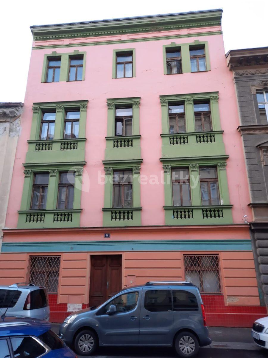 1 bedroom with open-plan kitchen flat to rent, 40 m², Vlkova, Prague, Prague