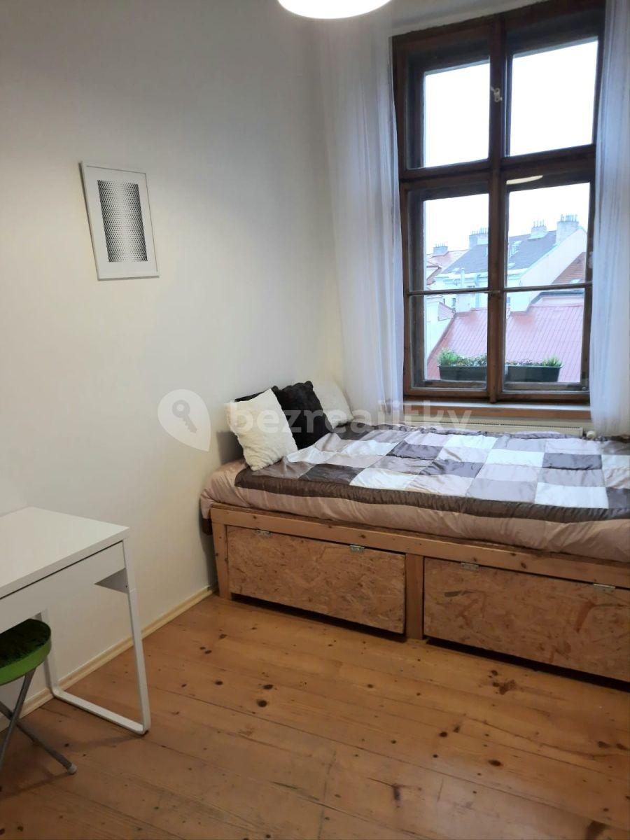 1 bedroom with open-plan kitchen flat to rent, 40 m², Vlkova, Prague, Prague