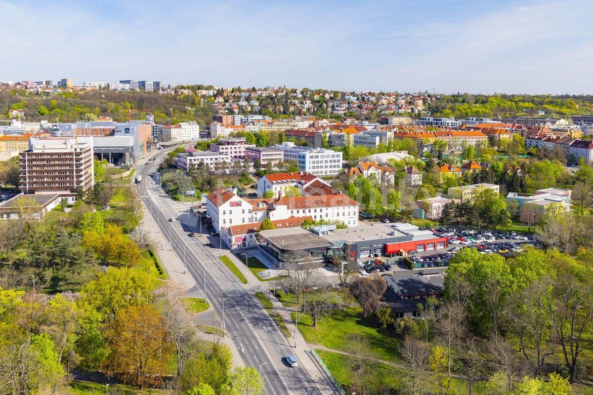 1 bedroom with open-plan kitchen flat to rent, 55 m², Freyova, Prague, Prague