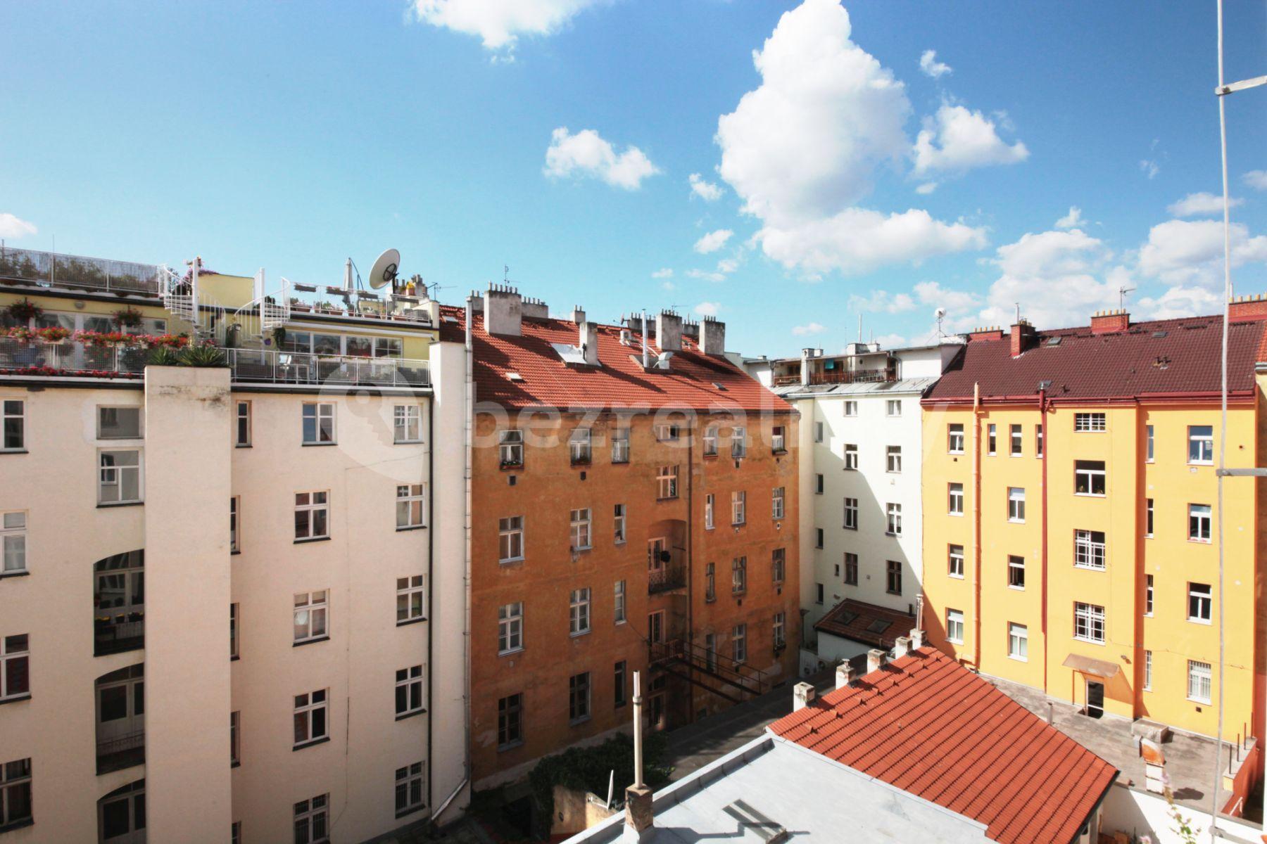 1 bedroom with open-plan kitchen flat to rent, 0 m², Holandská, Prague, Prague