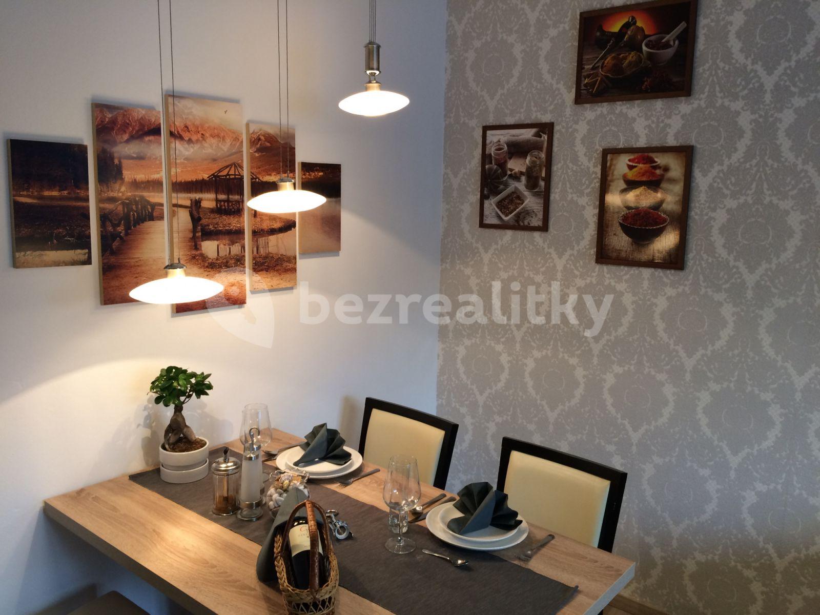 1 bedroom with open-plan kitchen flat to rent, 0 m², Holandská, Prague, Prague