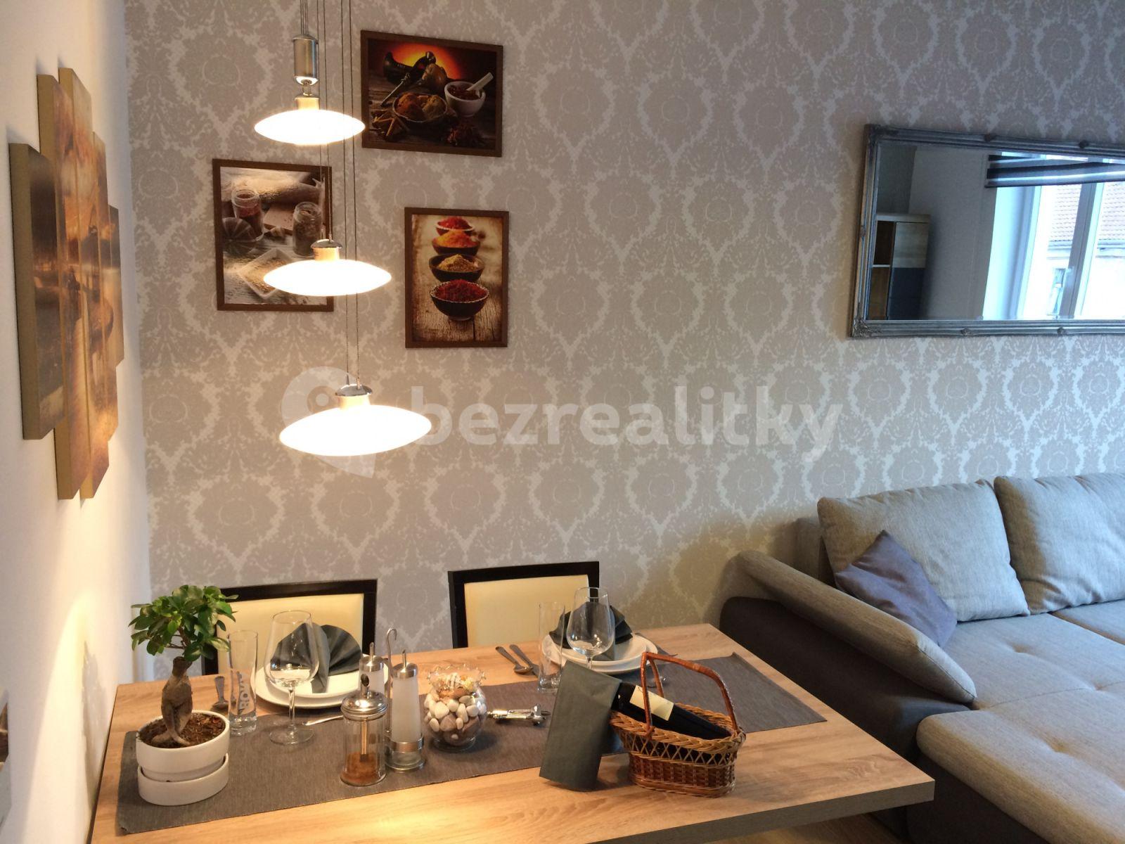 1 bedroom with open-plan kitchen flat to rent, 0 m², Holandská, Prague, Prague