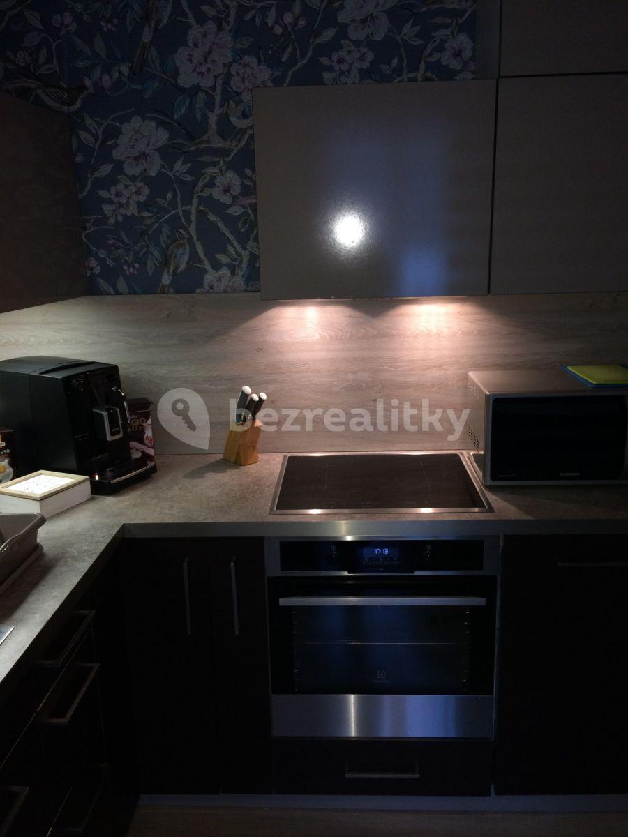 1 bedroom with open-plan kitchen flat to rent, 0 m², Holandská, Prague, Prague