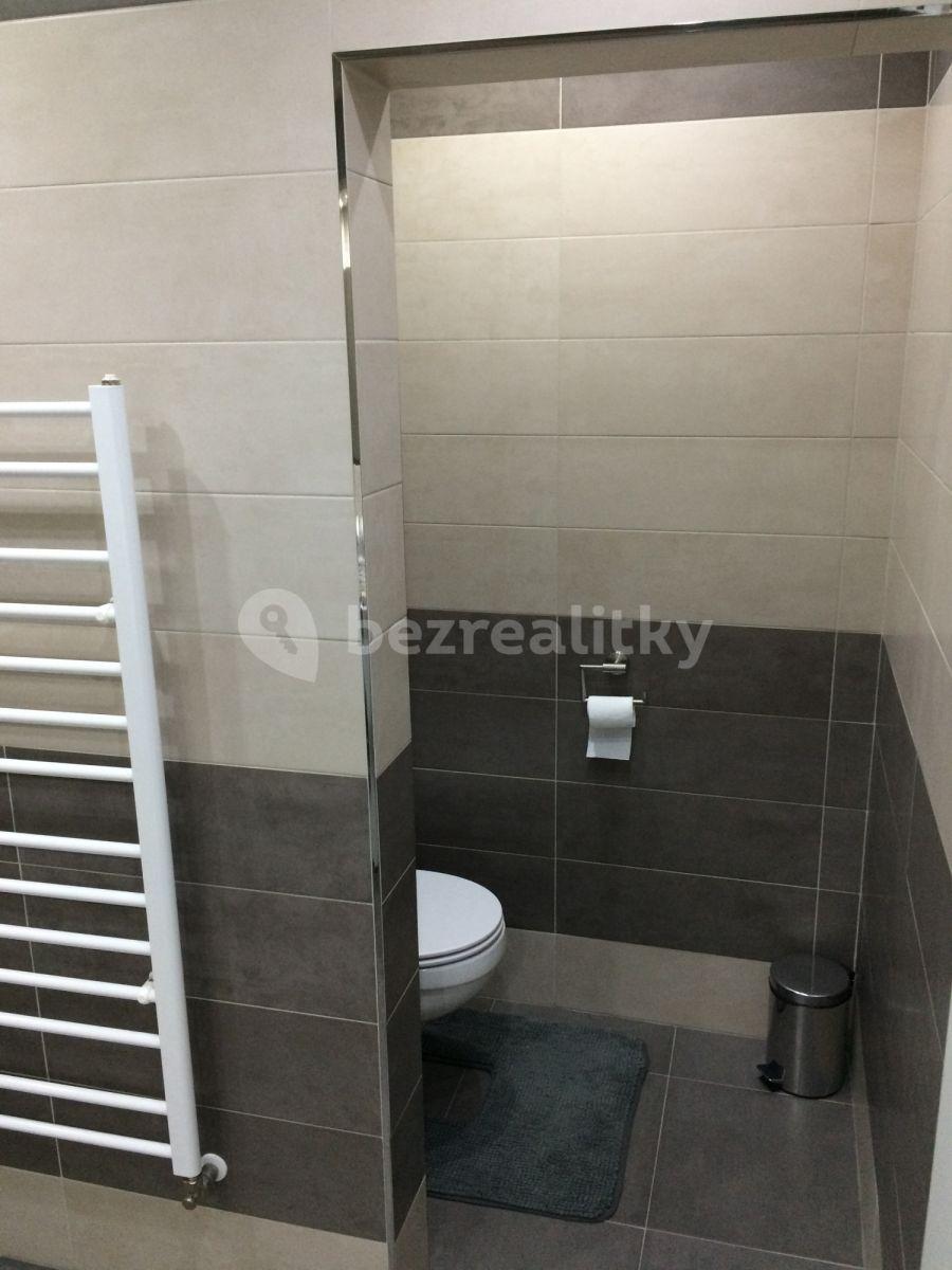 1 bedroom with open-plan kitchen flat to rent, 0 m², Holandská, Prague, Prague