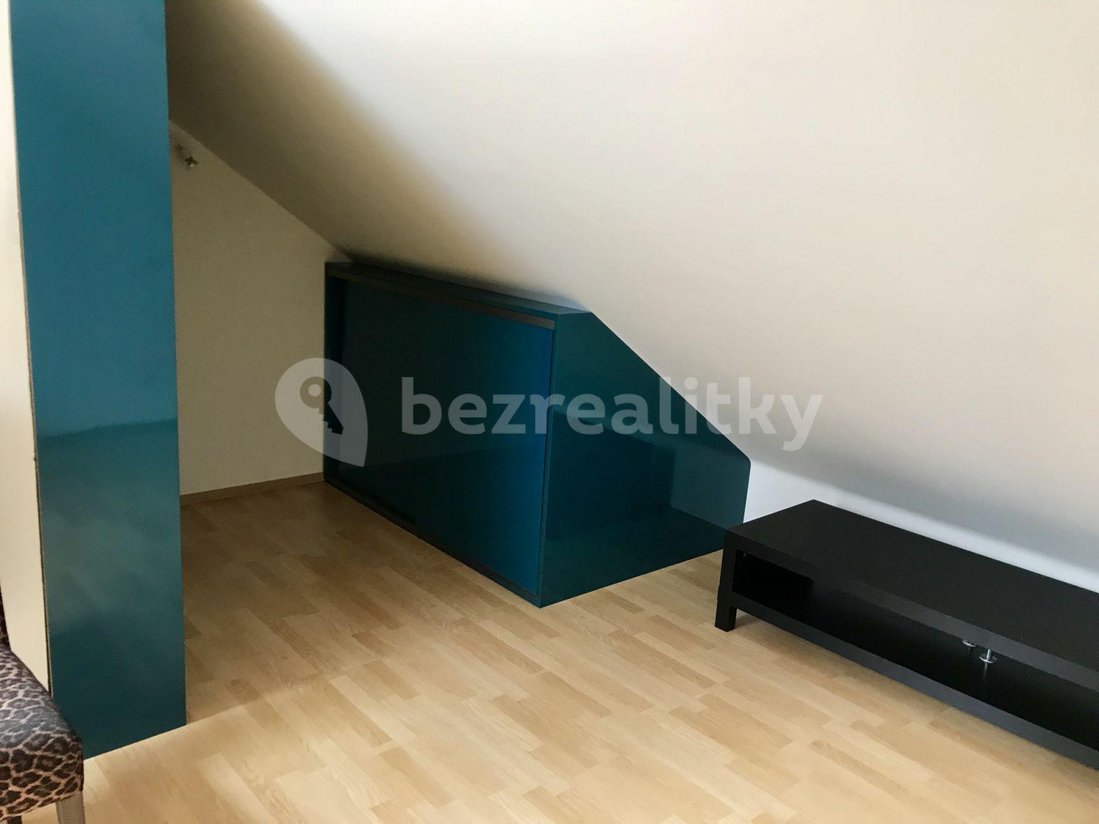 1 bedroom with open-plan kitchen flat to rent, 55 m², Ovenecká, Prague, Prague