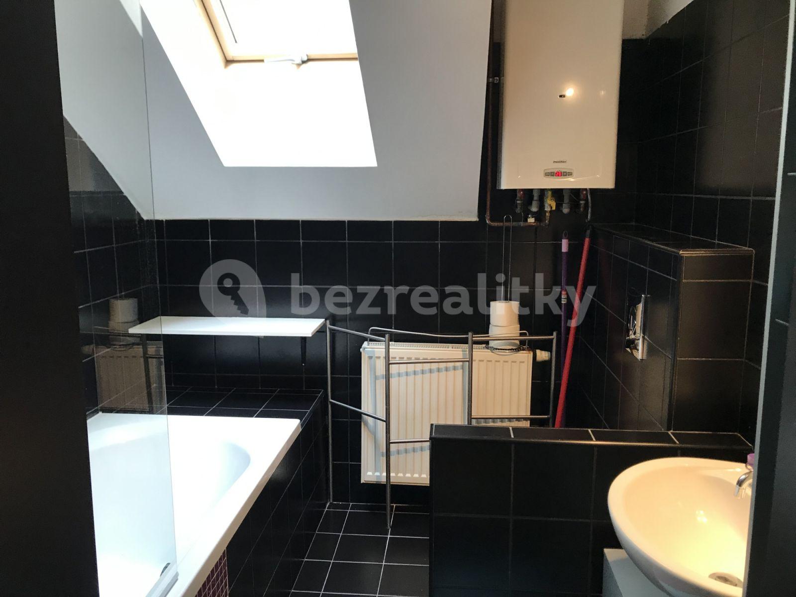 1 bedroom with open-plan kitchen flat to rent, 55 m², Ovenecká, Prague, Prague