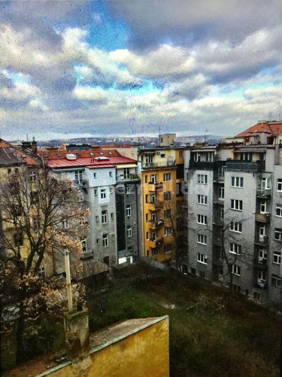 1 bedroom with open-plan kitchen flat to rent, 55 m², Ovenecká, Prague, Prague