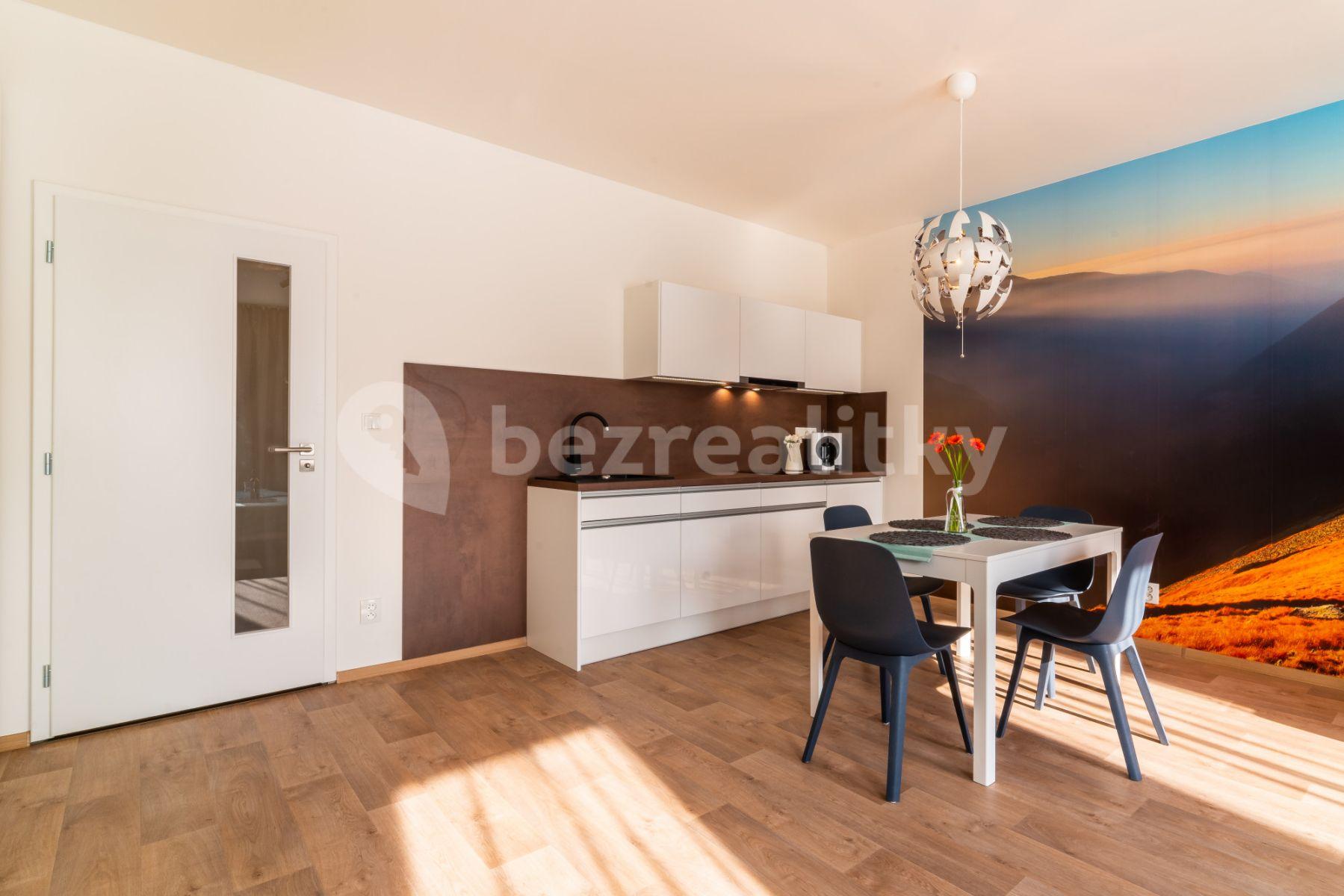 Studio flat to rent, 46 m², Kobližná, Brno, Jihomoravský Region