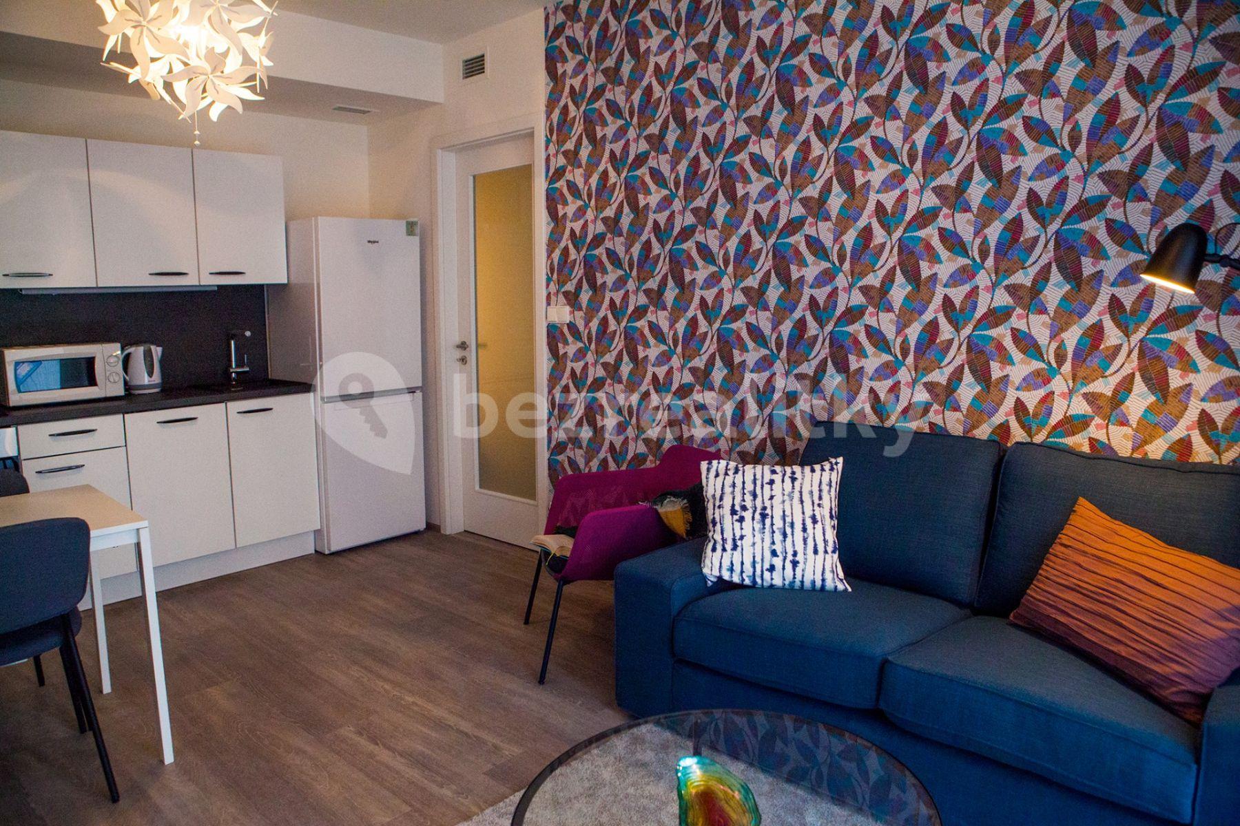 2 bedroom with open-plan kitchen flat to rent, 53 m², Hlaváčkova, Prague, Prague