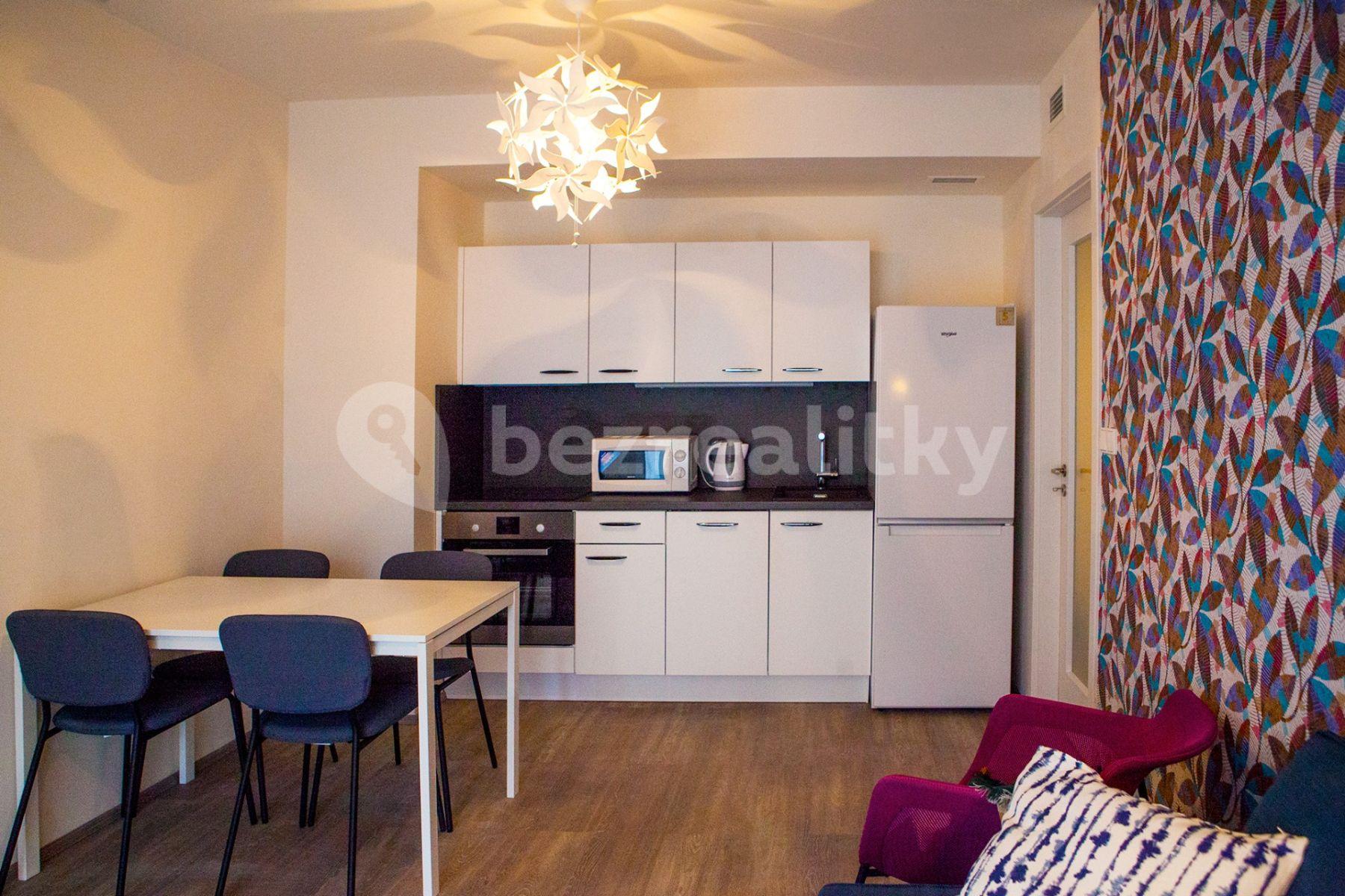 2 bedroom with open-plan kitchen flat to rent, 53 m², Hlaváčkova, Prague, Prague