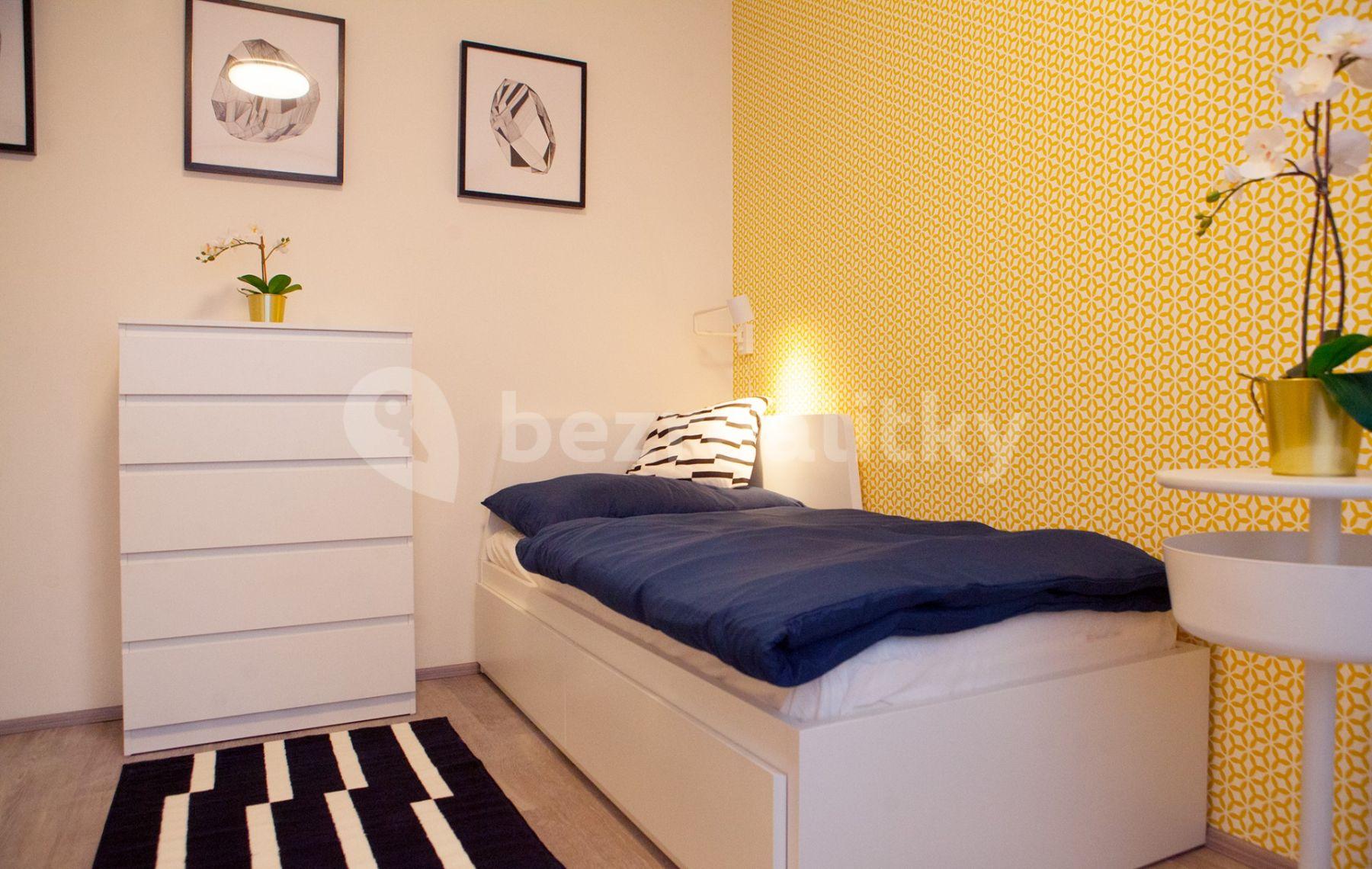 2 bedroom with open-plan kitchen flat to rent, 53 m², Hlaváčkova, Prague, Prague